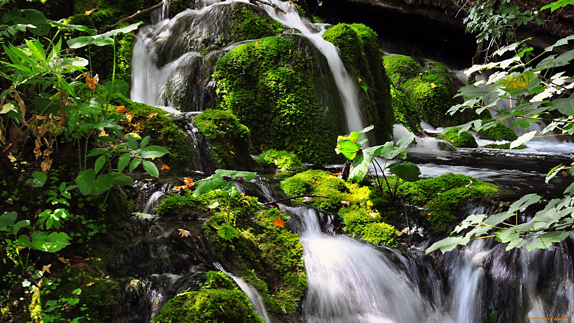 природа, водопады, мох, камни, каскад