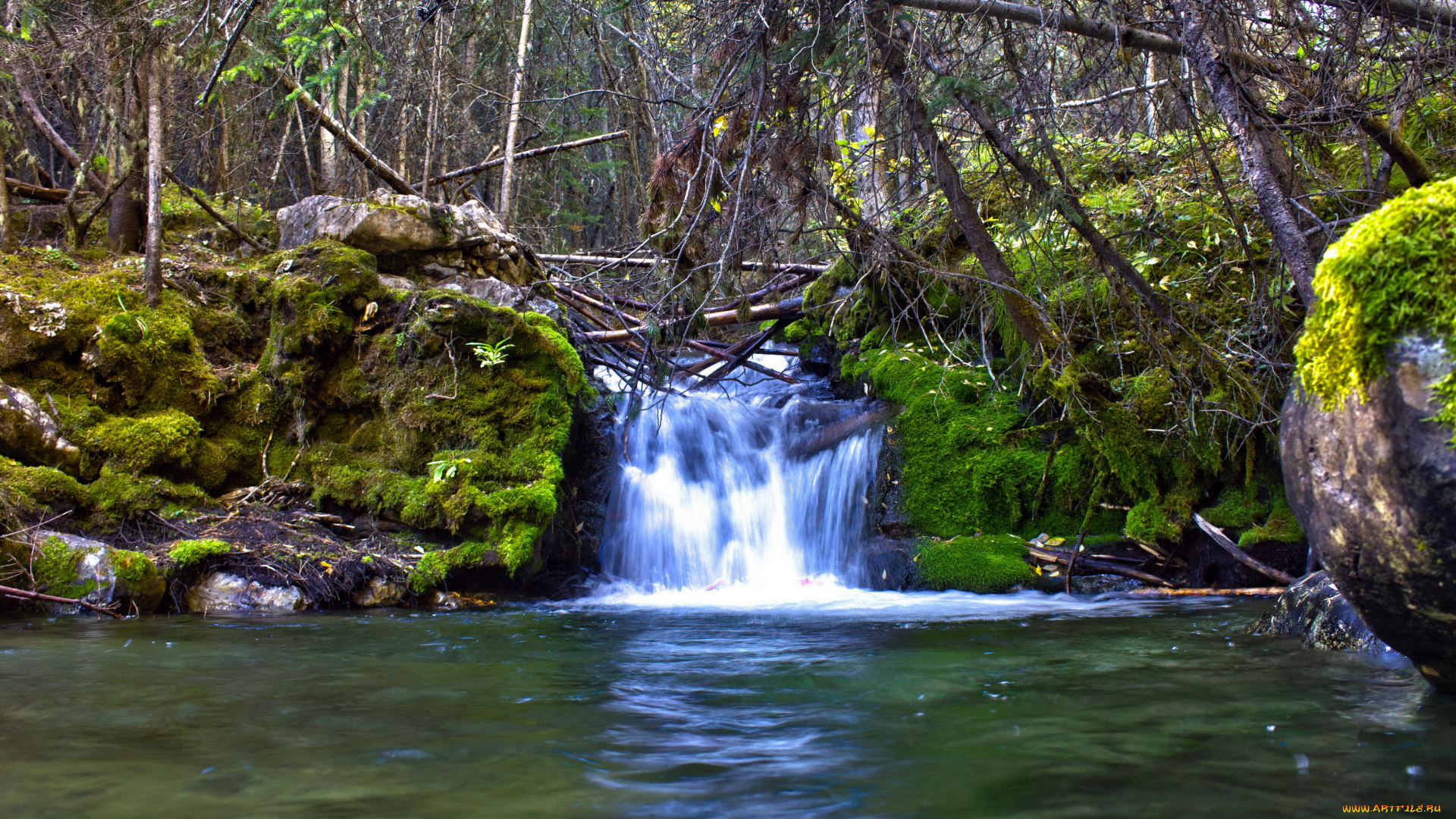 природа, водопады, водопад