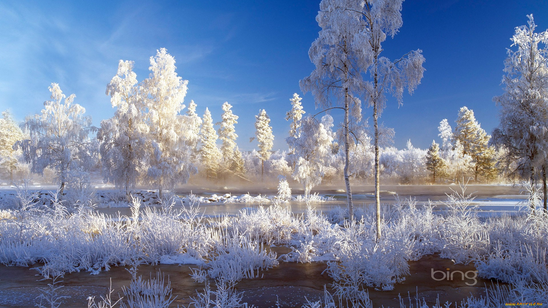 природа, зима, деревья, снег, лед