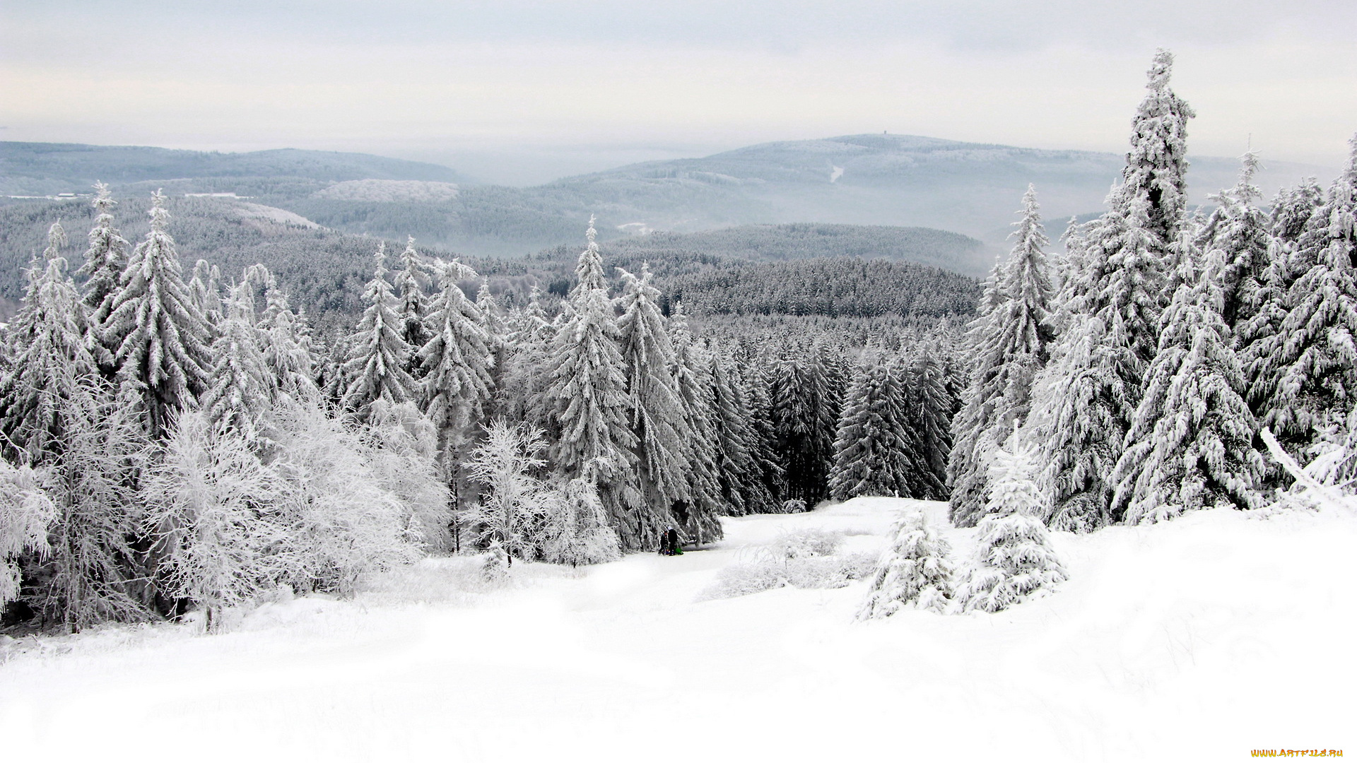 природа, зима, снег