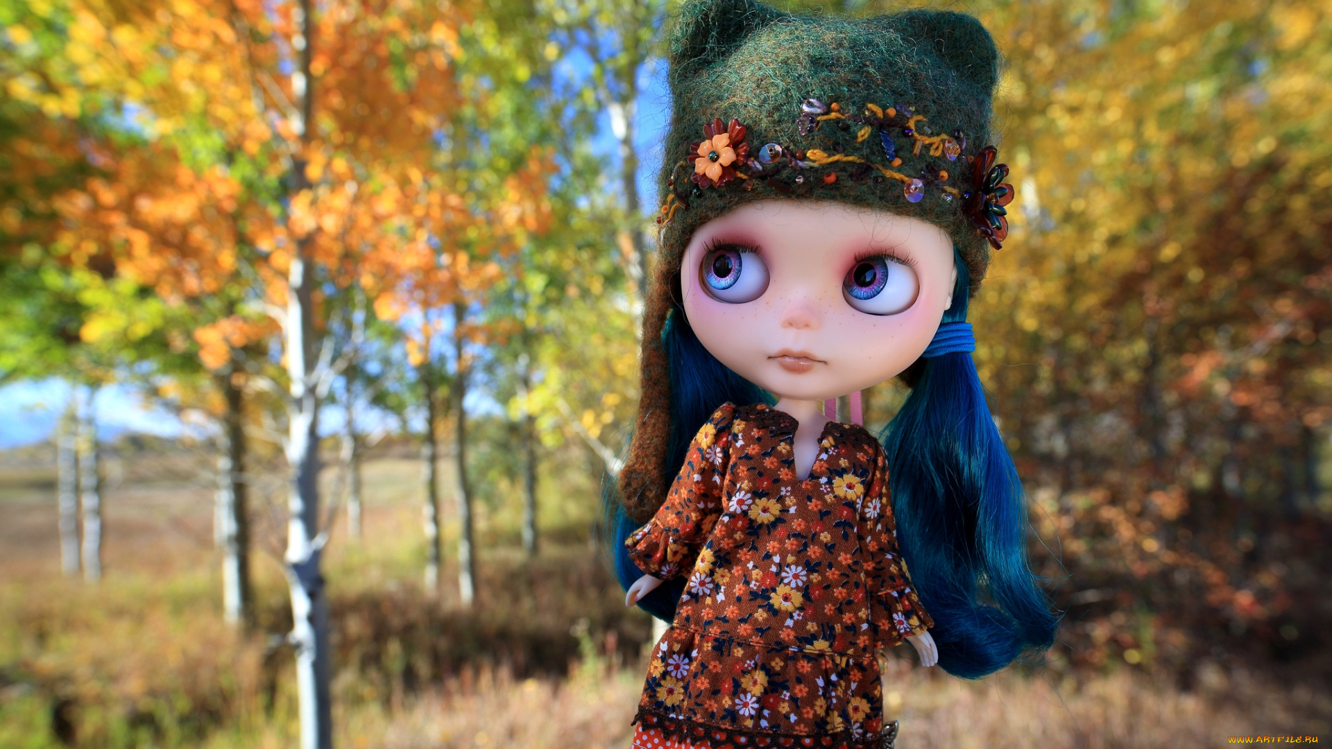 разное, игрушки, кукла, осень, шапочка