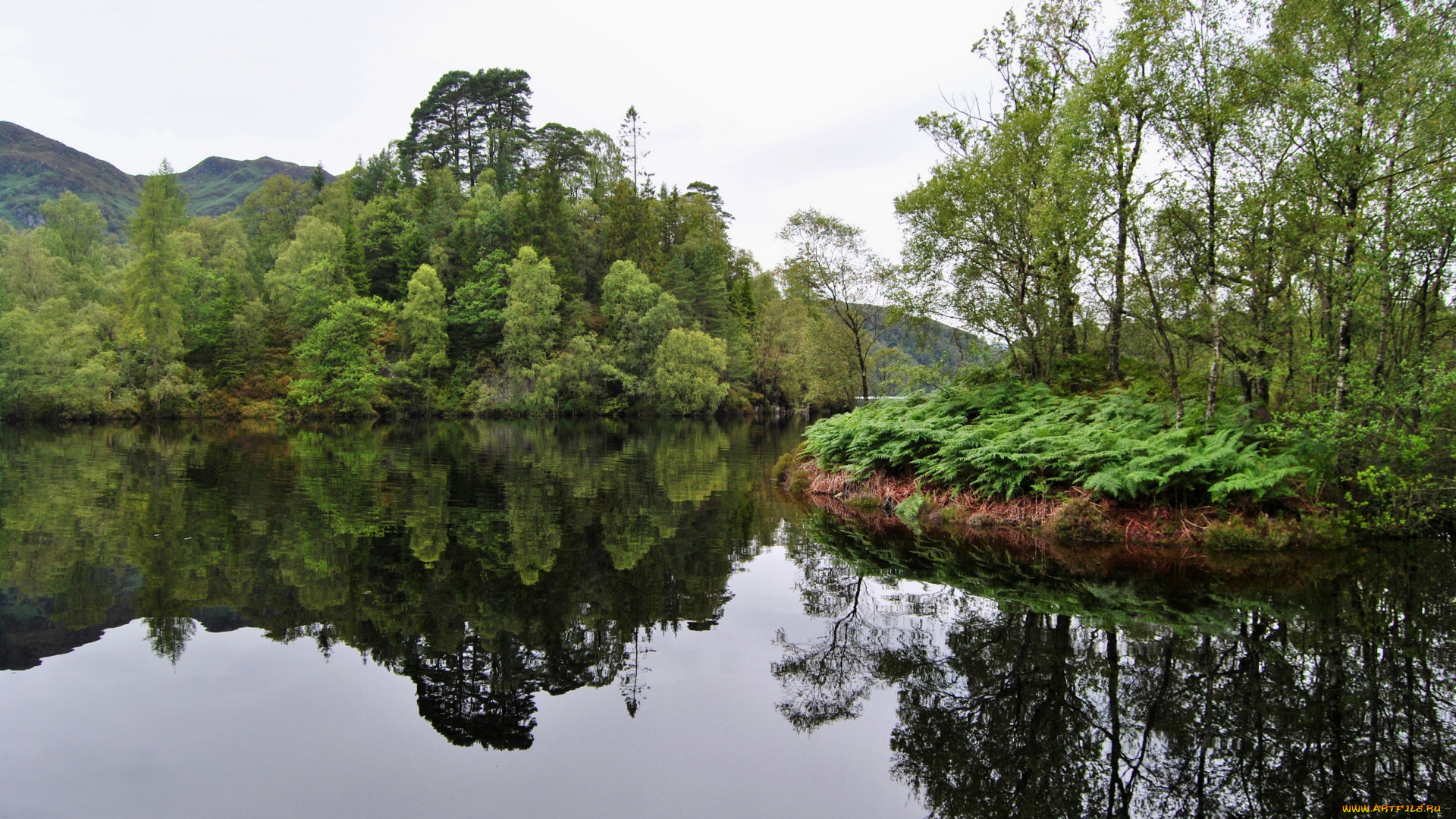 великобритания, аберфойл, природа, реки, озера, река, деревья
