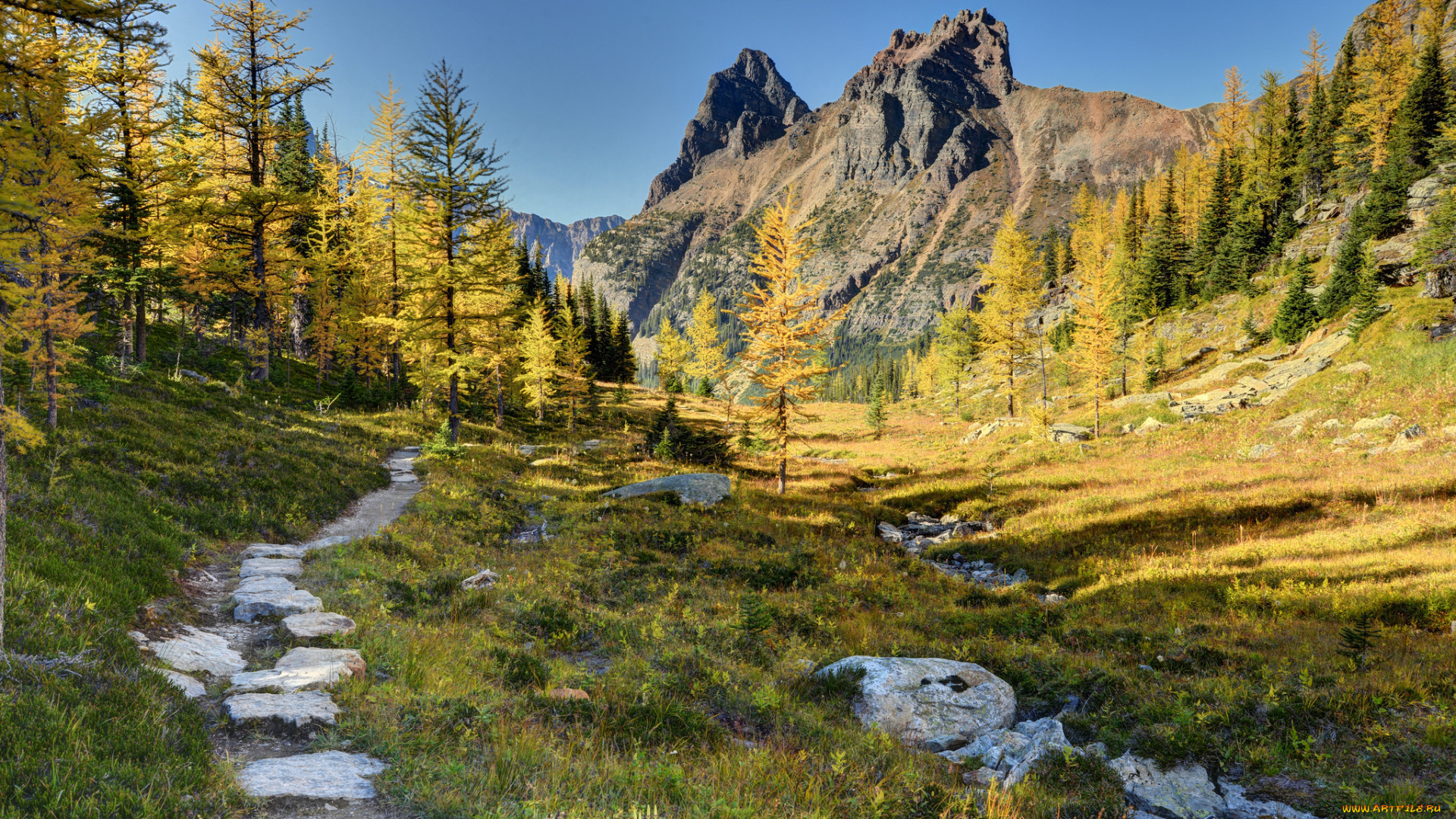 yoho, national, park, canada, природа, горы, тропинка, деревья, лес, канада