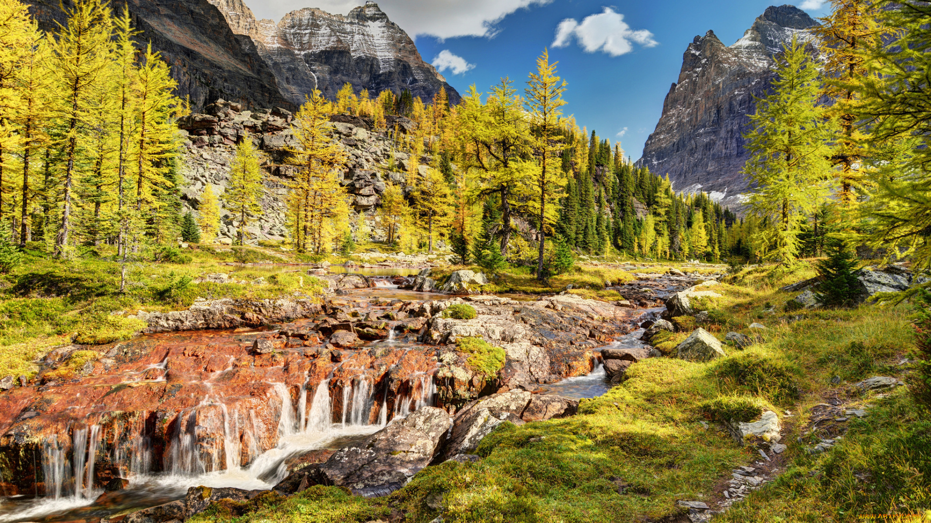 yoho, national, park, canada, природа, пейзажи, деревья, речка, лес, горы, канада