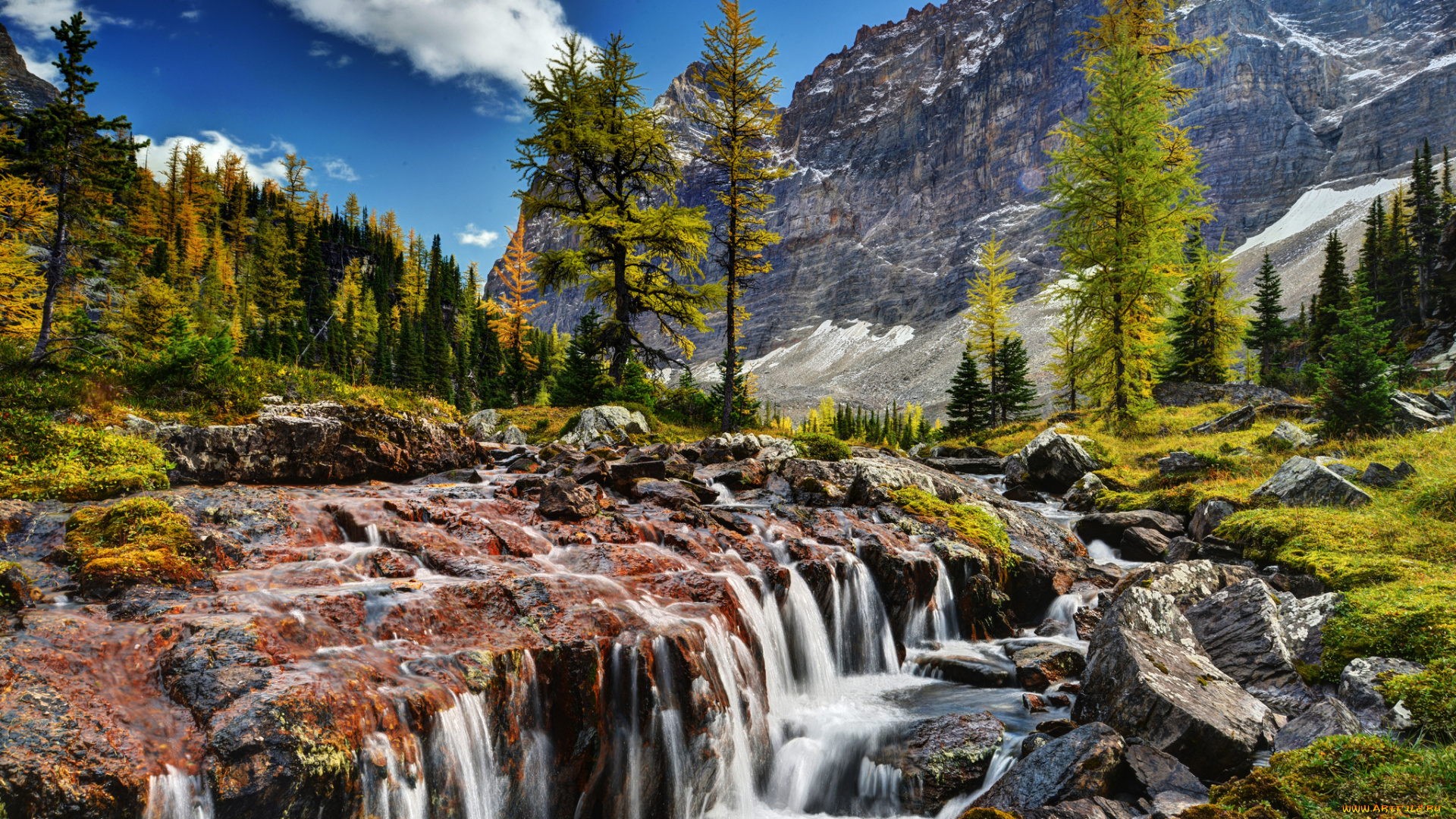 yoho, national, park, canada, природа, водопады, горы, канада, деревья, речка