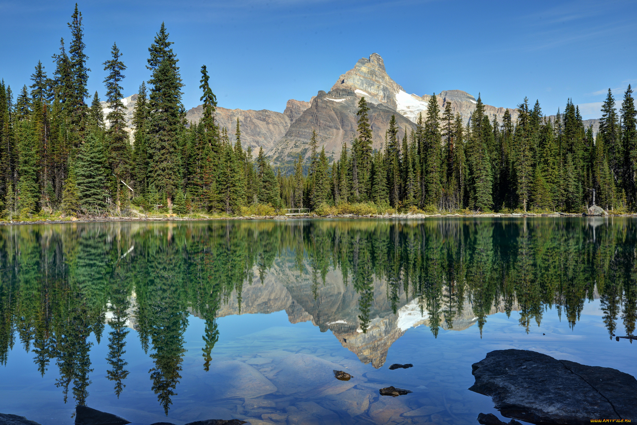 lake, o`hara, yoho, national, park, canada, природа, реки, озера, лес, отражение, озеро, канада, ohara, ели, горы