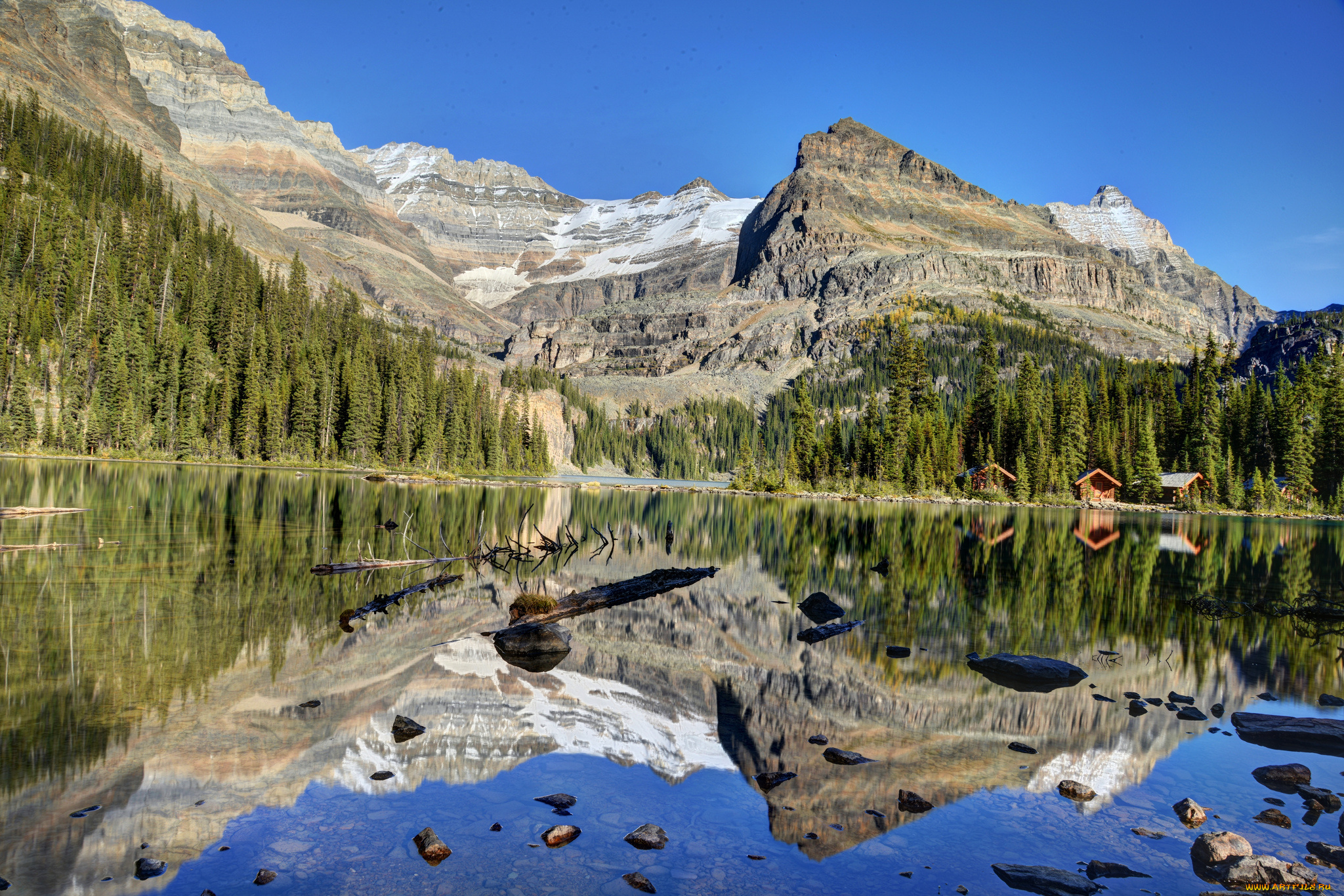 lake, o`hara, yoho, national, park, canada, природа, реки, озера, канада, лес, горы, отражение, озеро, ohara