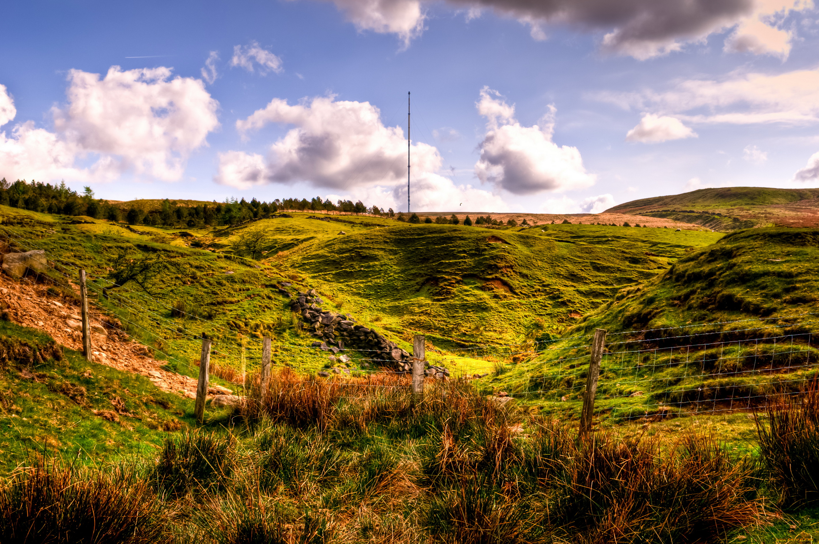 horwich, англия, природа, луга