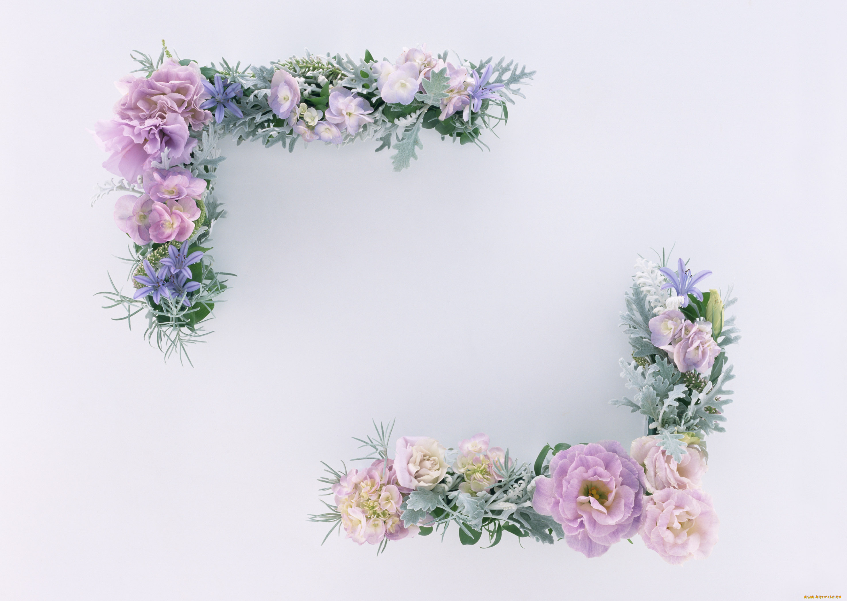 цветы, букеты, композиции, листья, цветки