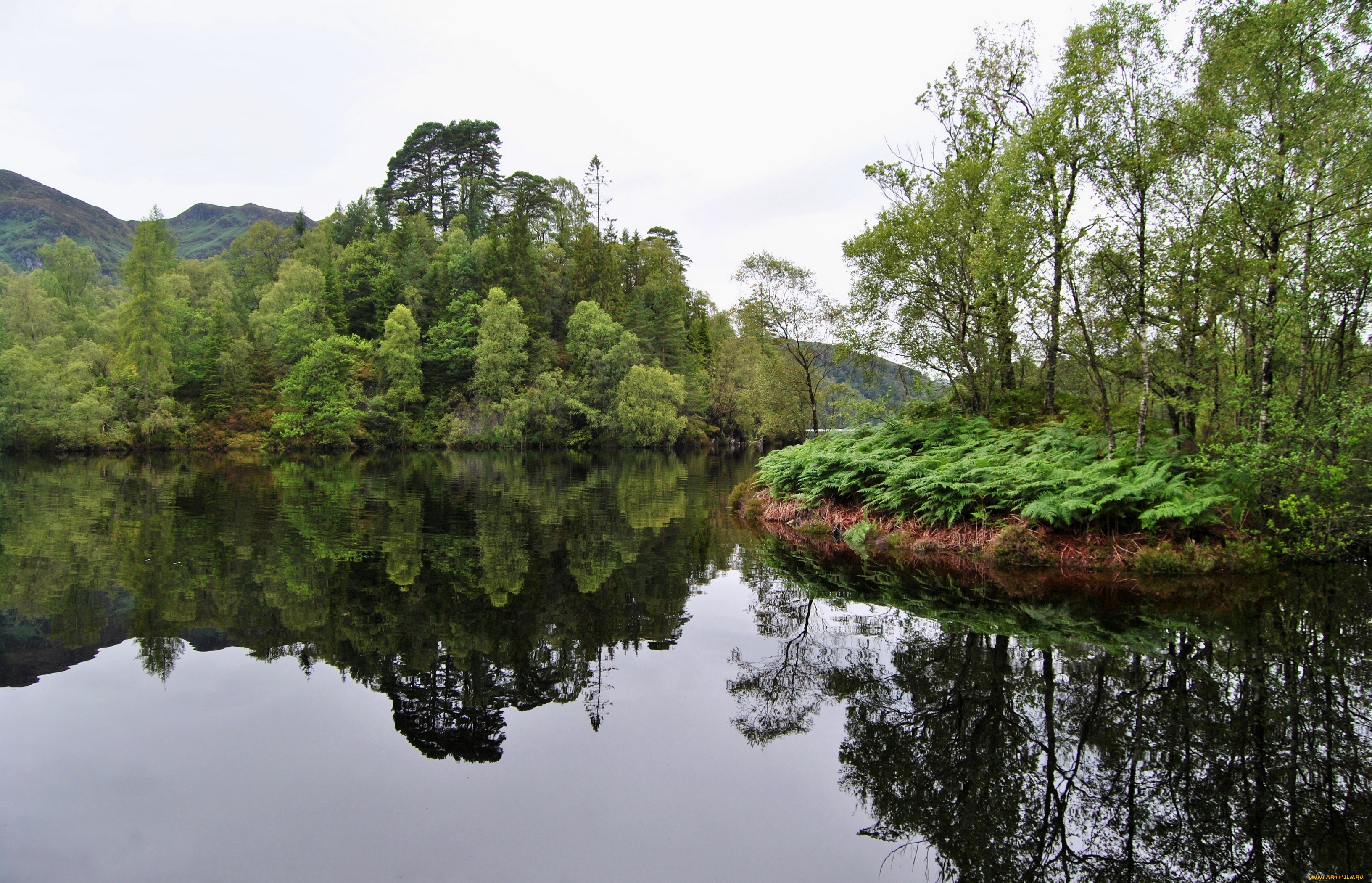 великобритания, аберфойл, природа, реки, озера, река, деревья
