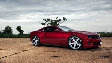 Картинка camaro автомобили chevrolet