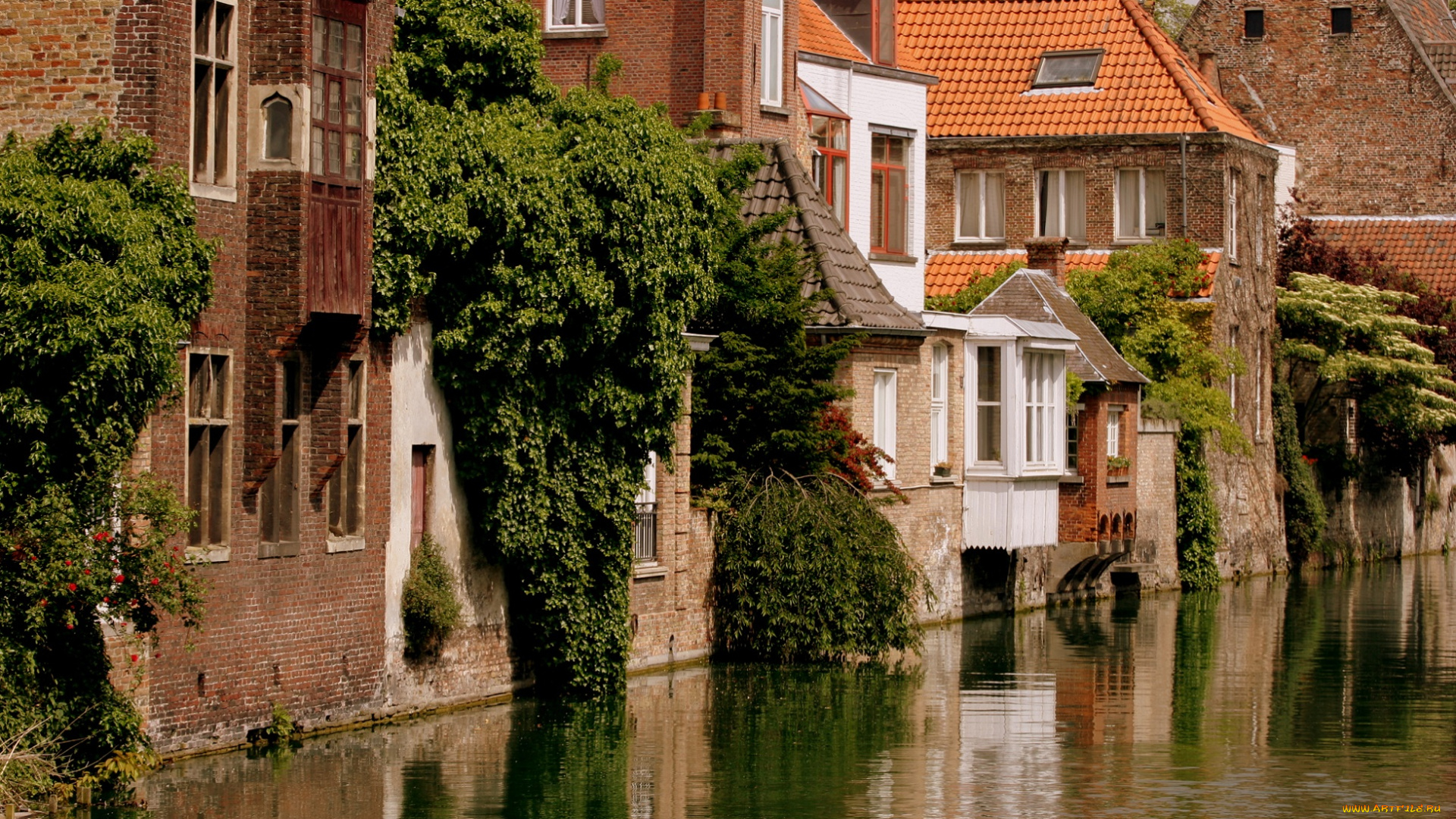bruges, , belgium, города, брюгге, , бельгия, растения, зелень, вода, здания