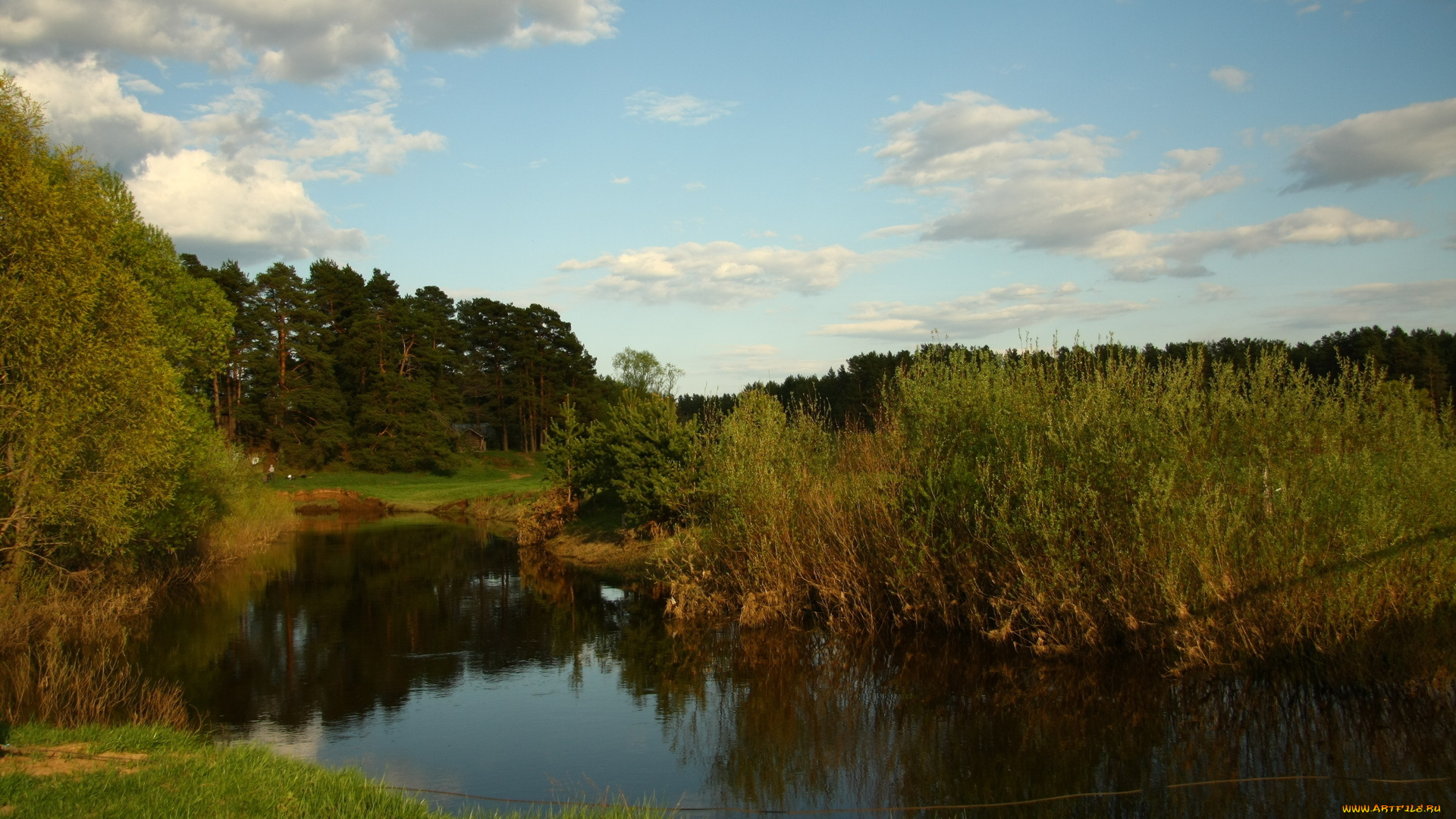 природа, реки, озера, небо, облака, пейзаж, прогулка, река, лес, отдых, сосны