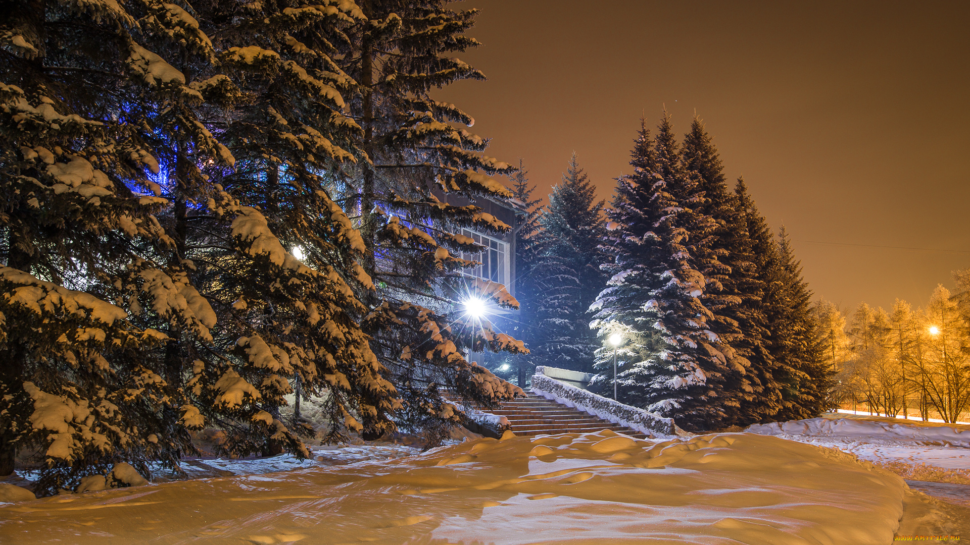 природа, зима, ночь, фонари, ели, снег, огни
