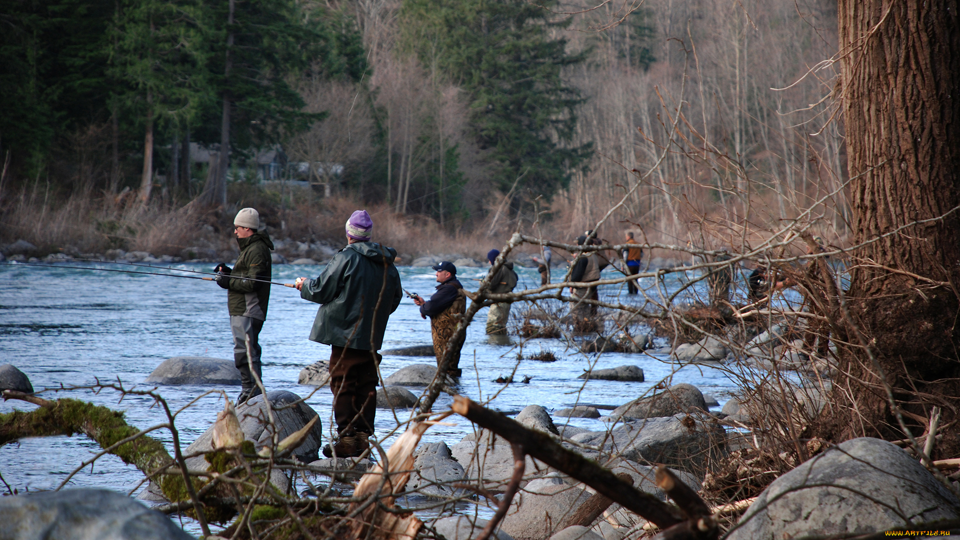 разное, рыбалка, , рыбаки, , улов, , снасти