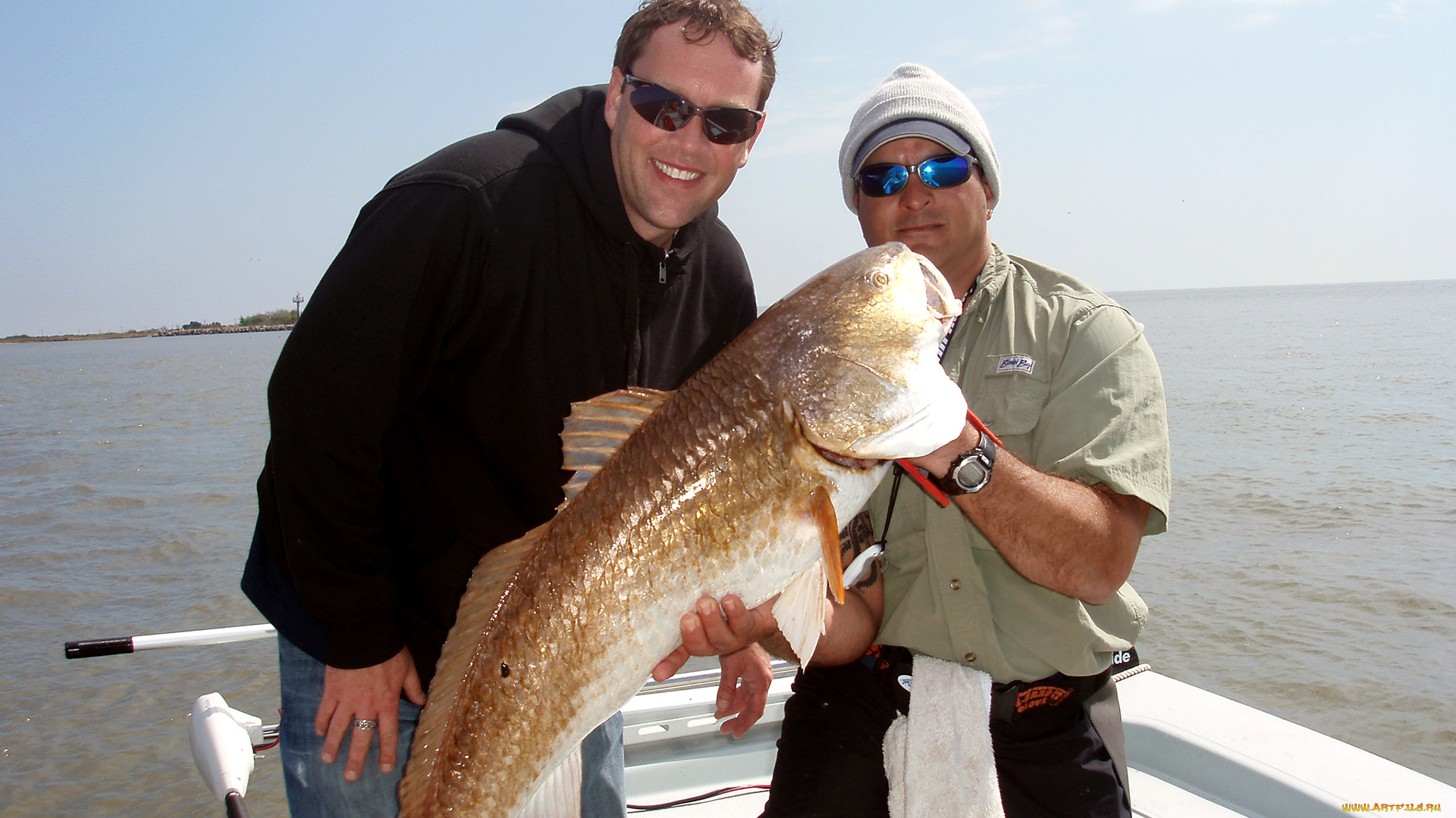 разное, рыбалка, , рыбаки, , улов, , снасти