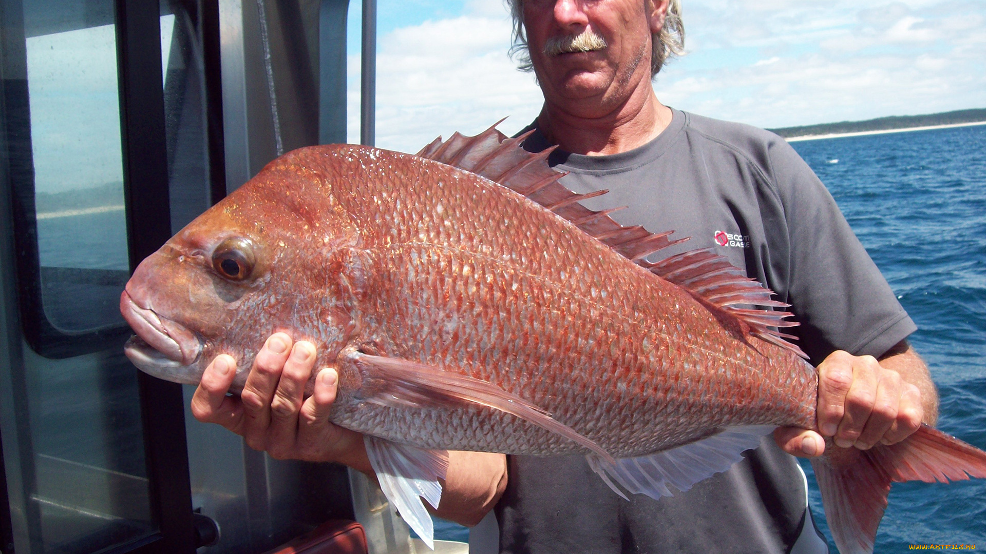 разное, рыбалка, , рыбаки, , улов, , снасти