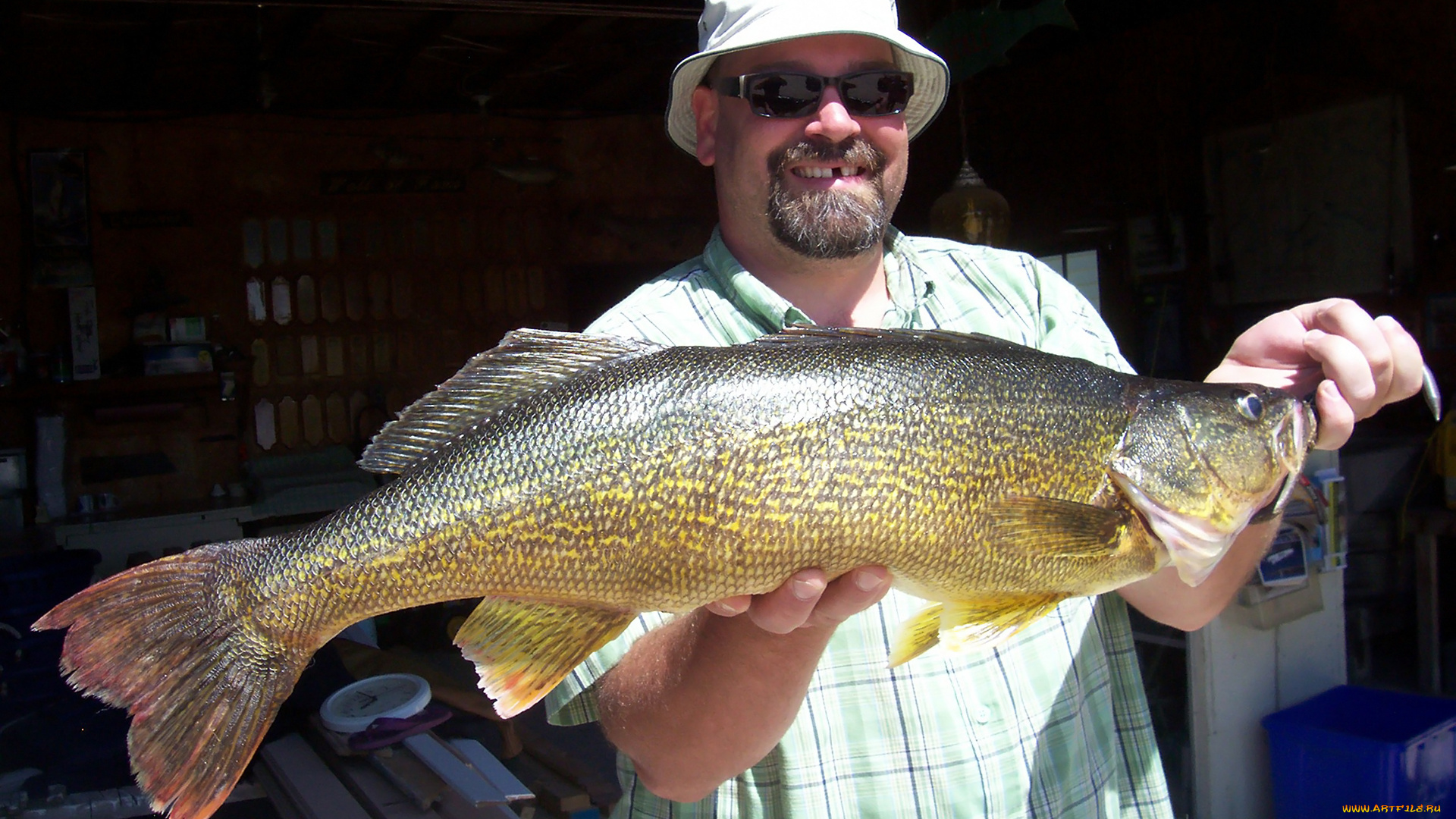 разное, рыбалка, , рыбаки, , улов, , снасти