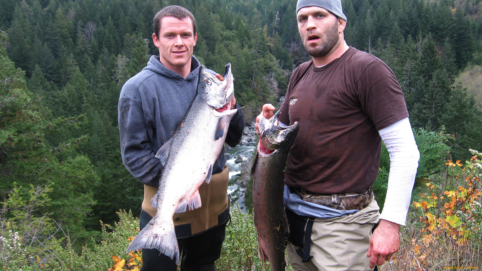 разное, рыбалка, , рыбаки, , улов, , снасти