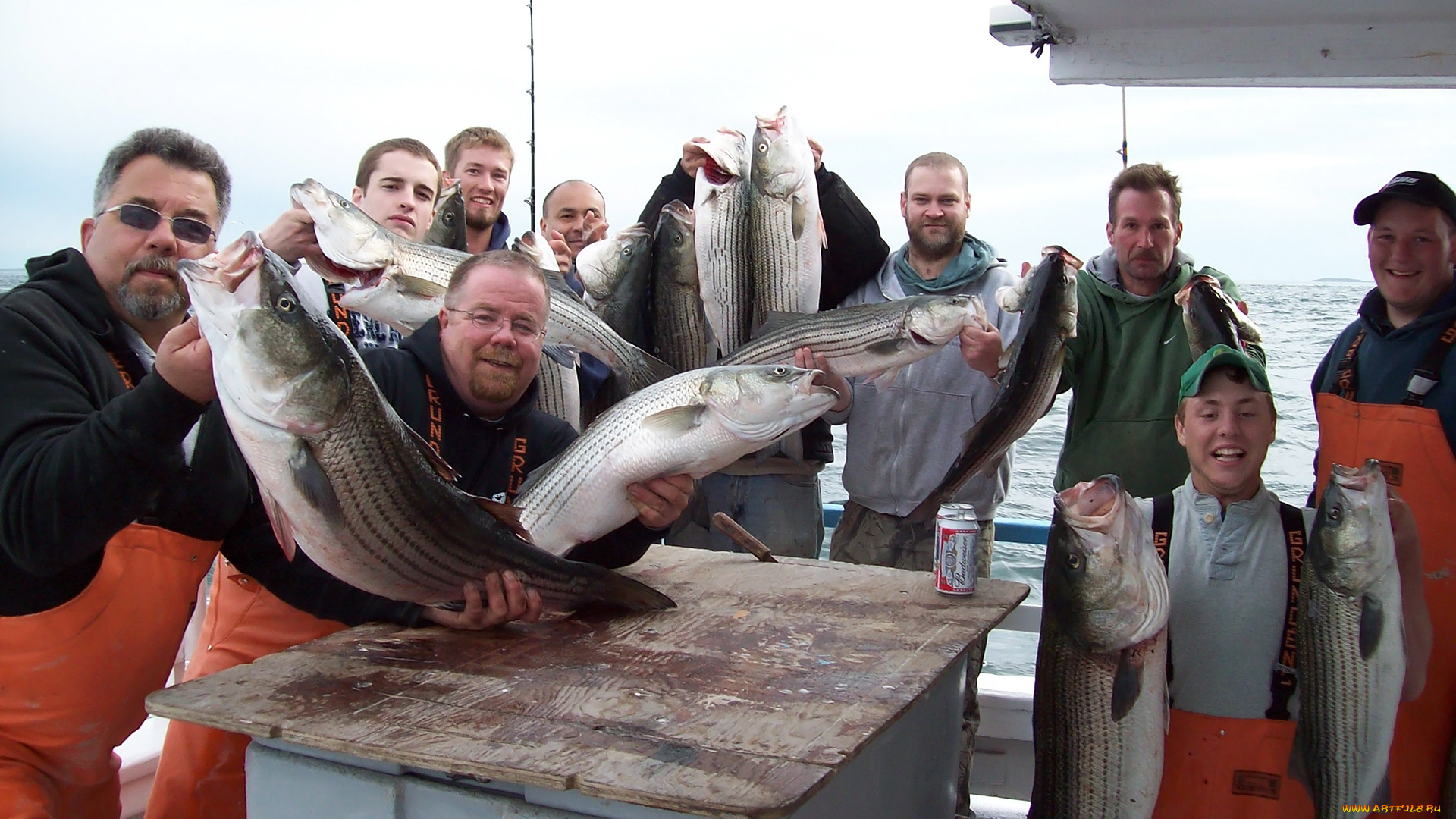 разное, рыбалка, , рыбаки, , улов, , снасти
