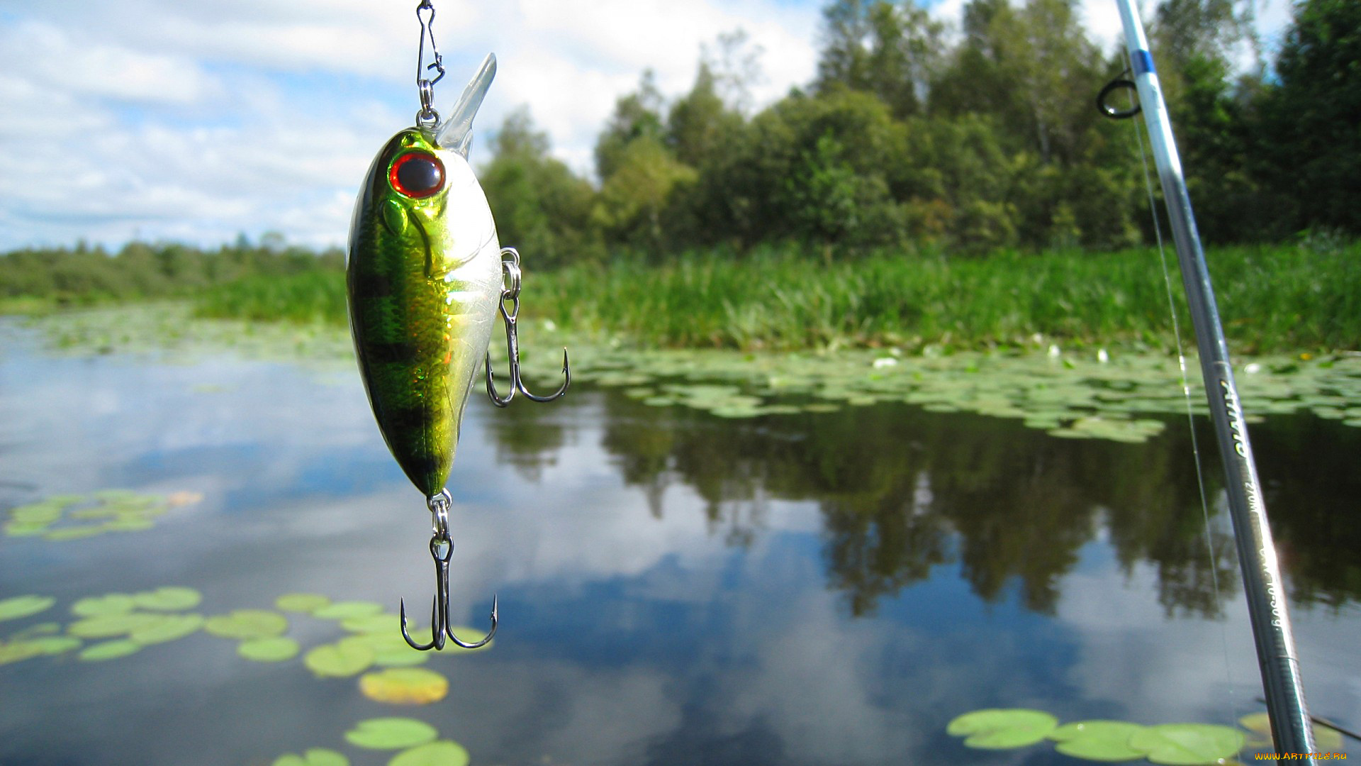 разное, рыбалка, , рыбаки, , улов, , снасти, блесна