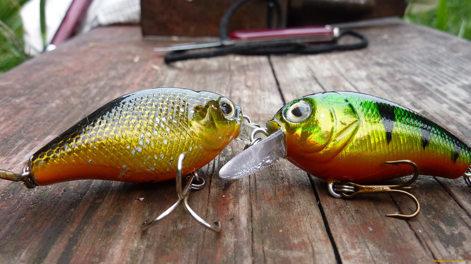 разное, рыбалка, , рыбаки, , улов, , снасти, блесна