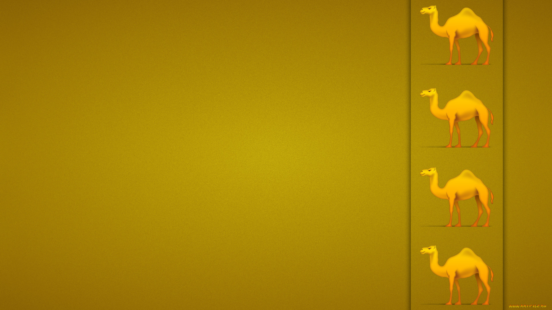 разное, текстуры, верблюд, оранжевый, четыре, желтый, полоса, текстура
