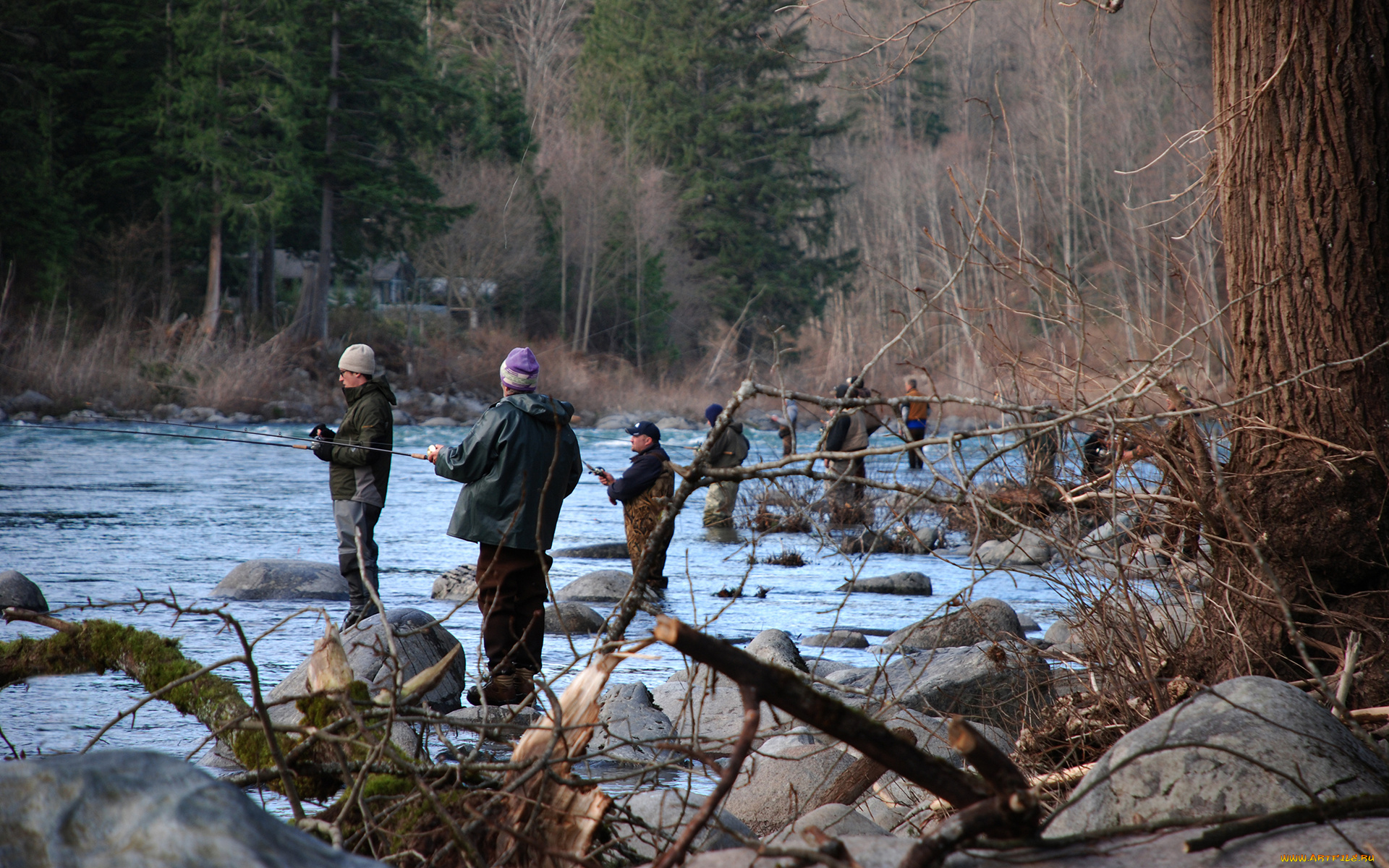 разное, рыбалка, , рыбаки, , улов, , снасти
