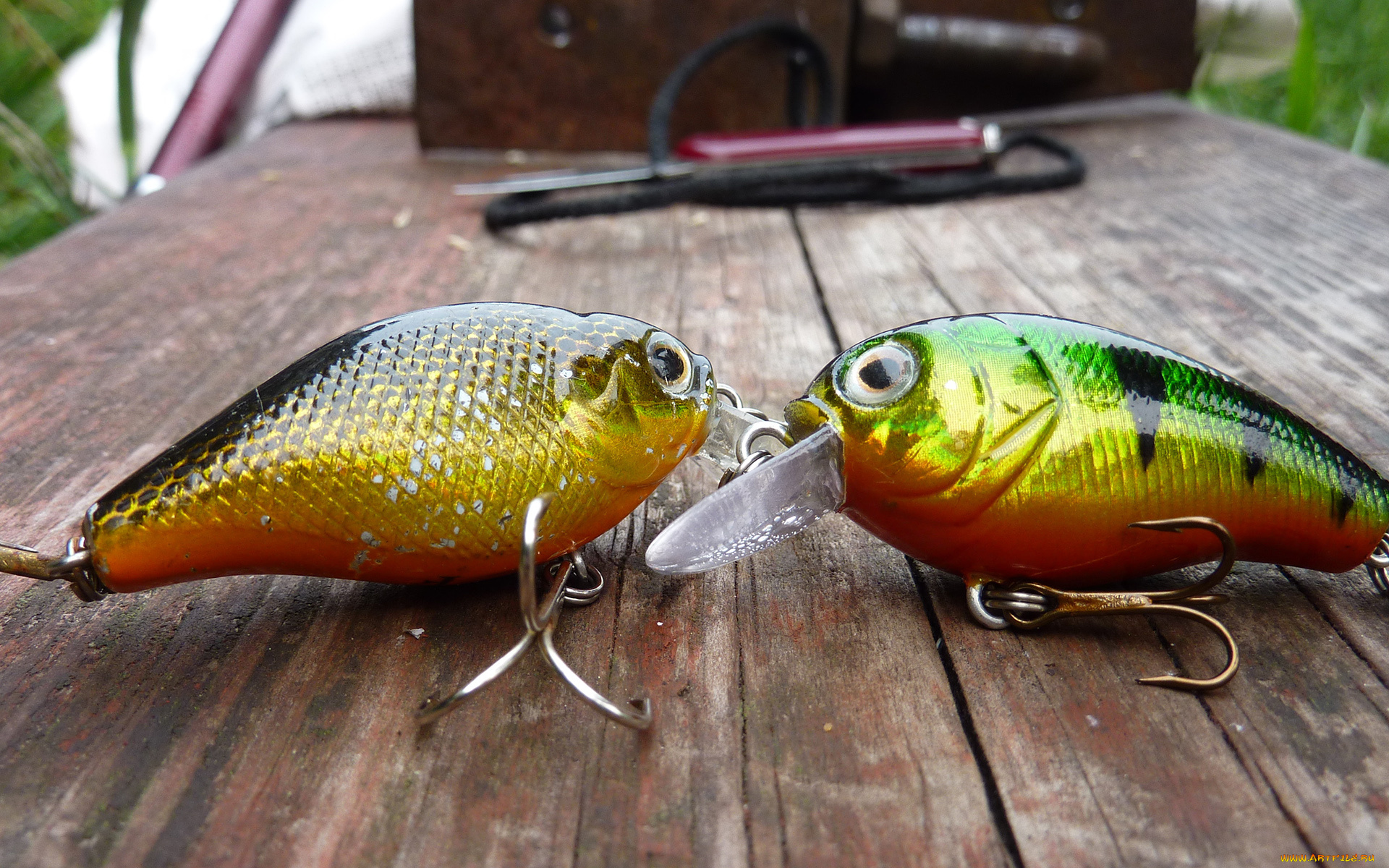 разное, рыбалка, , рыбаки, , улов, , снасти, блесна