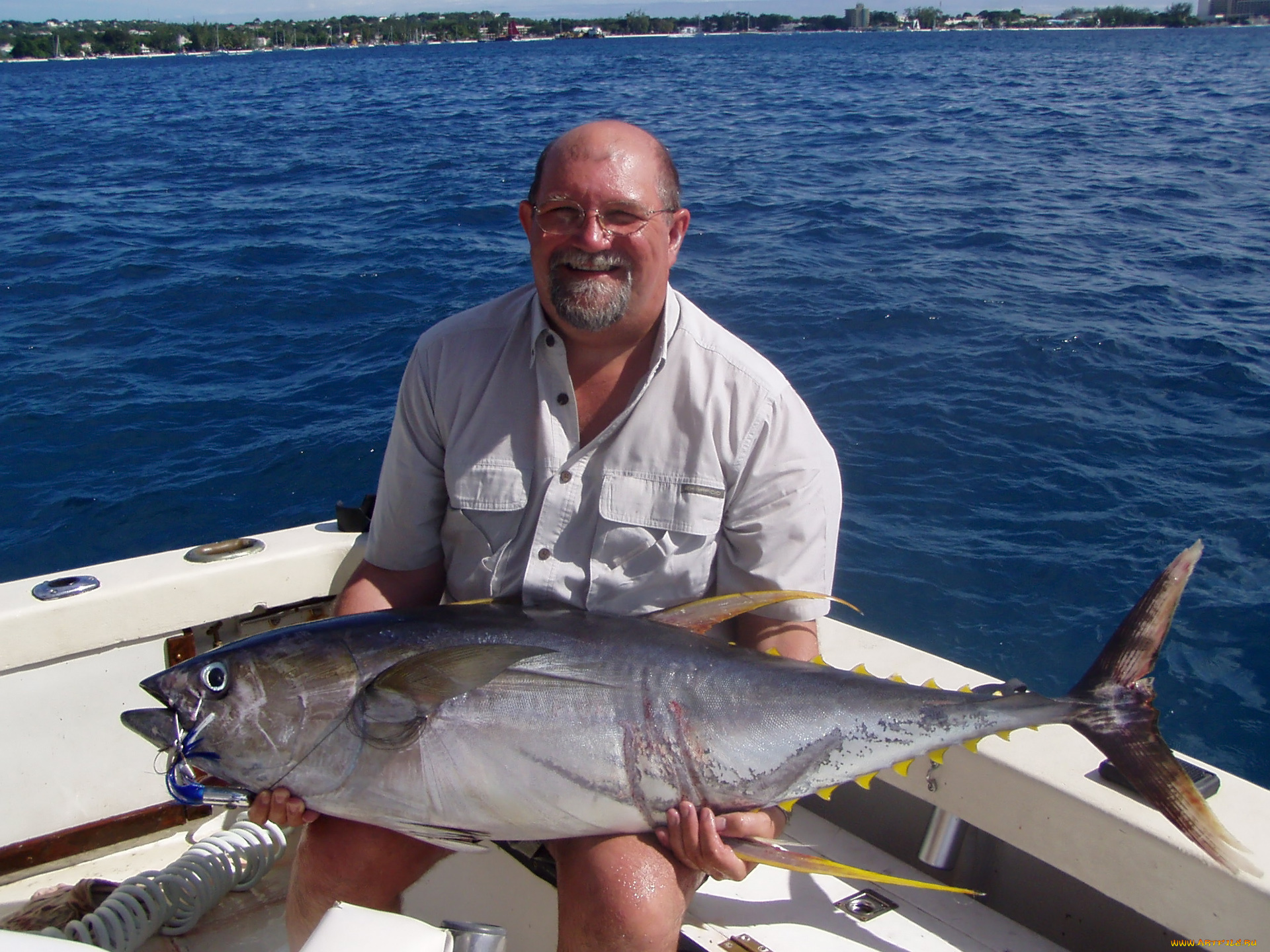 разное, рыбалка, , рыбаки, , улов, , снасти