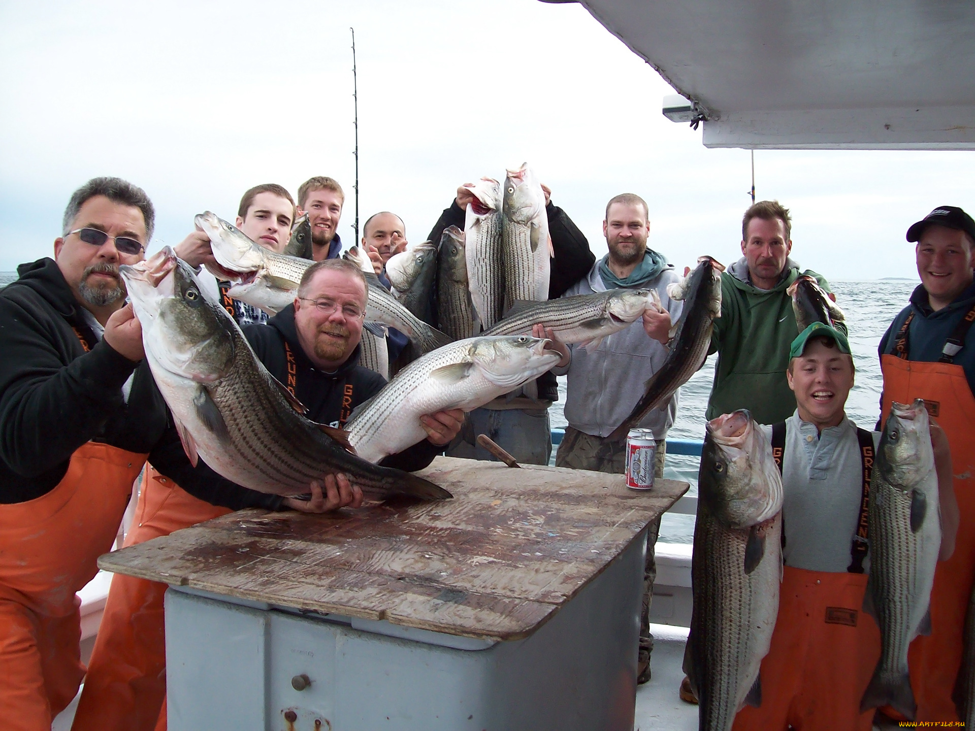 разное, рыбалка, , рыбаки, , улов, , снасти