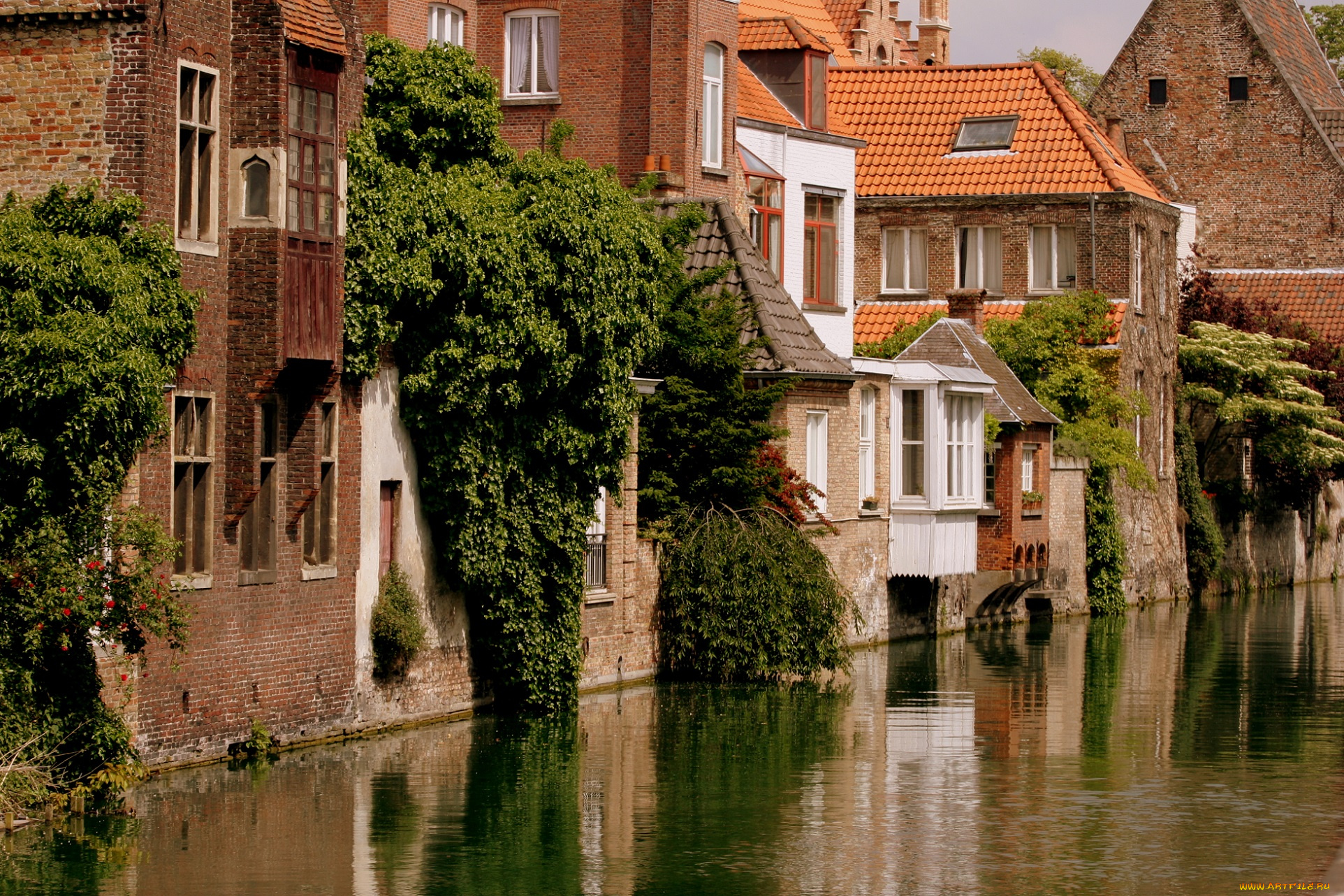 bruges, , belgium, города, брюгге, , бельгия, растения, зелень, вода, здания