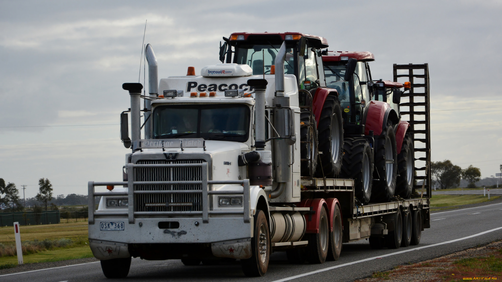 western, star, автомобили, тягач, седельный, грузовик, тяжелый