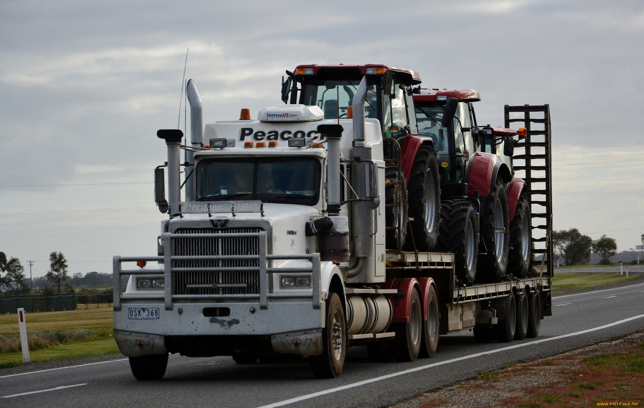 western, star, автомобили, тягач, седельный, грузовик, тяжелый
