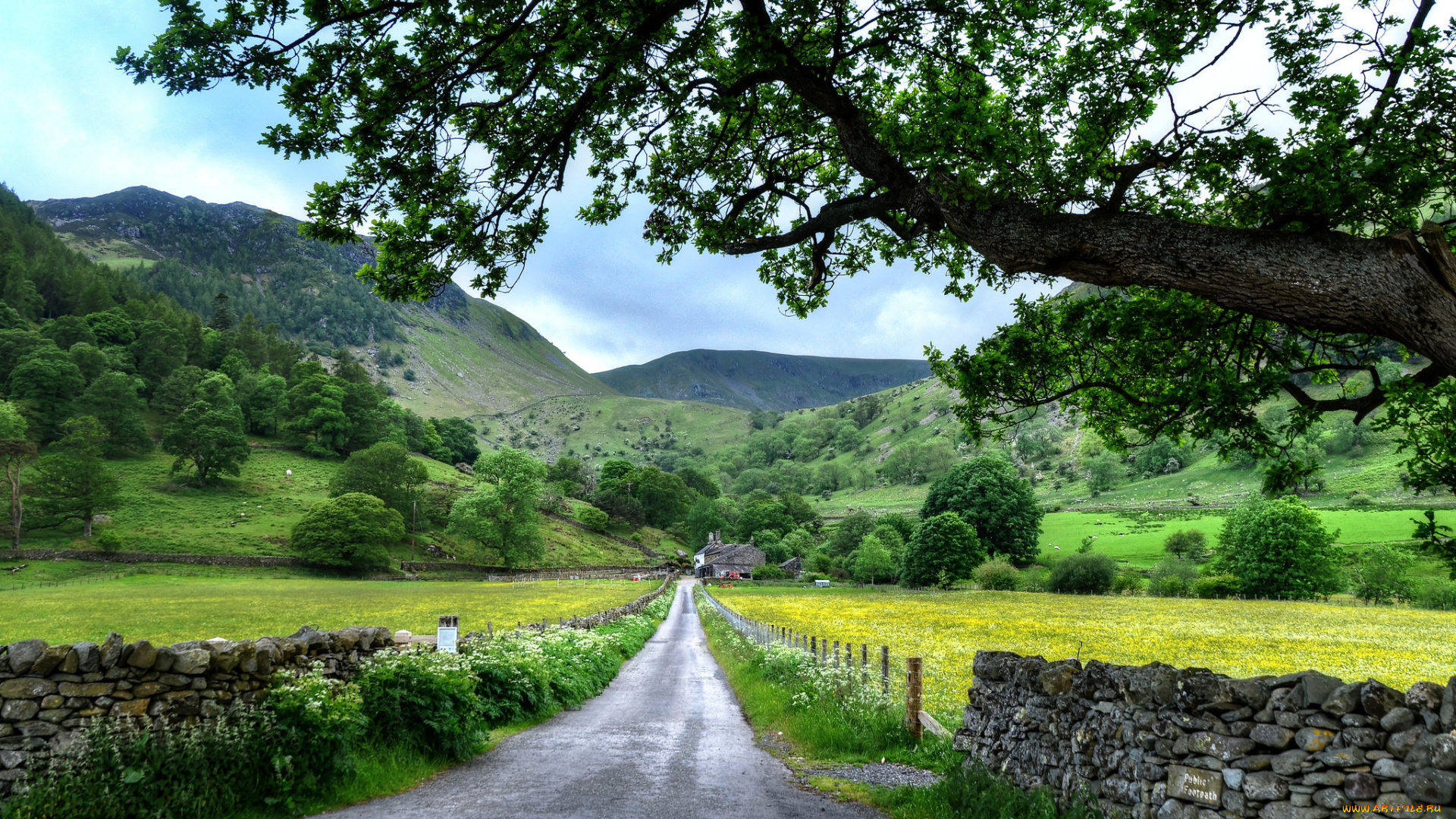 природа, дороги, холмы, шоссе