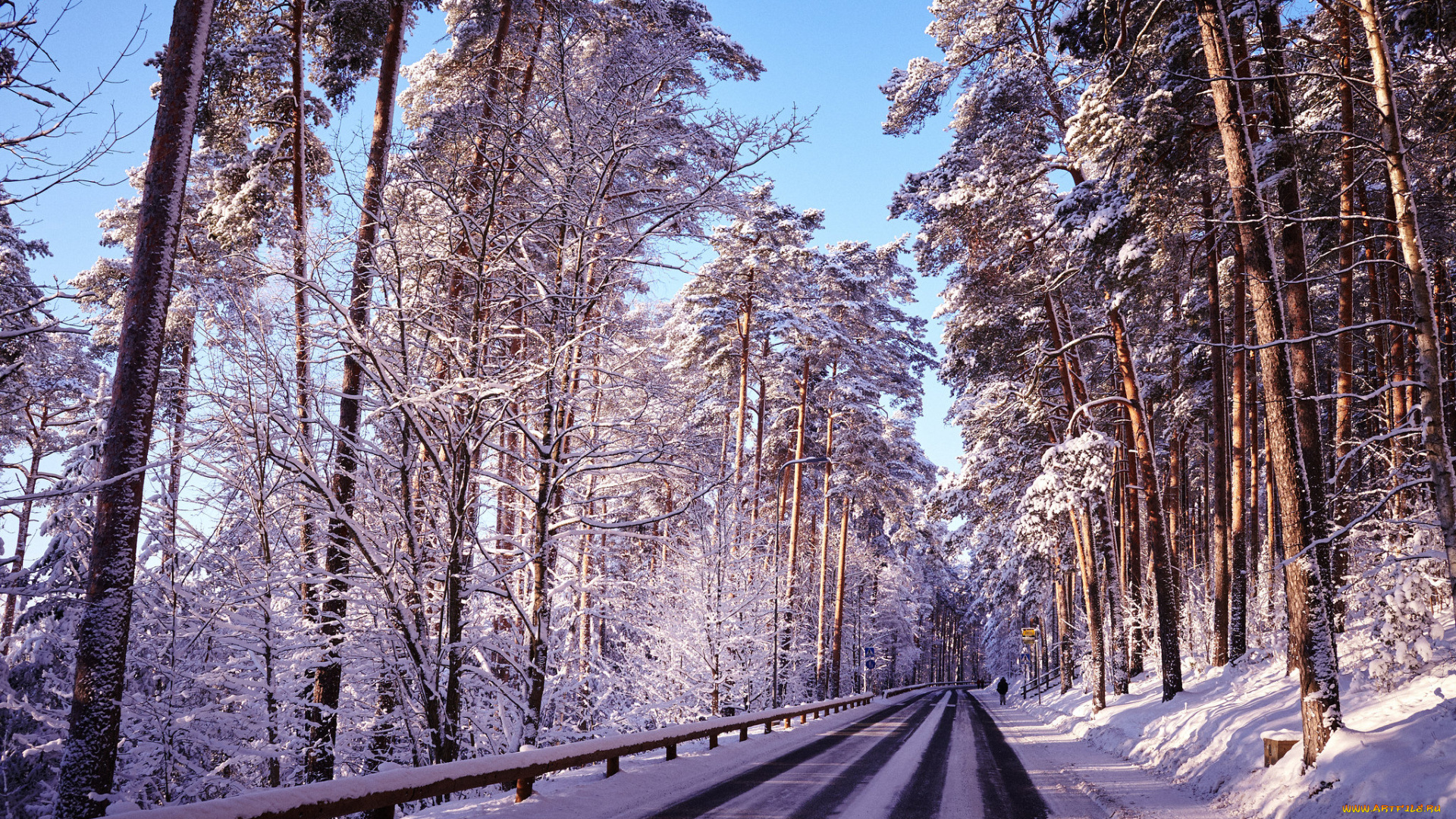 природа, дороги, лес, дорога