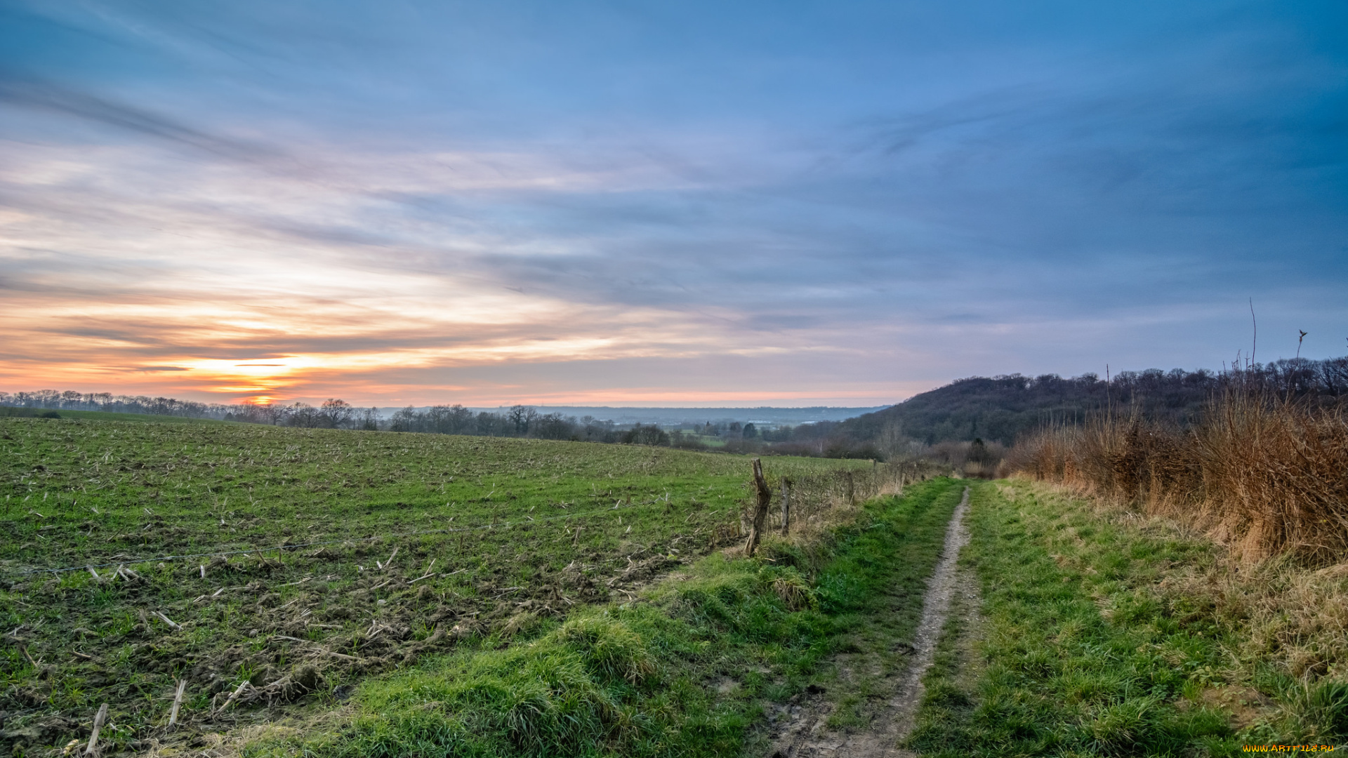 природа, дороги, поле, дорожка