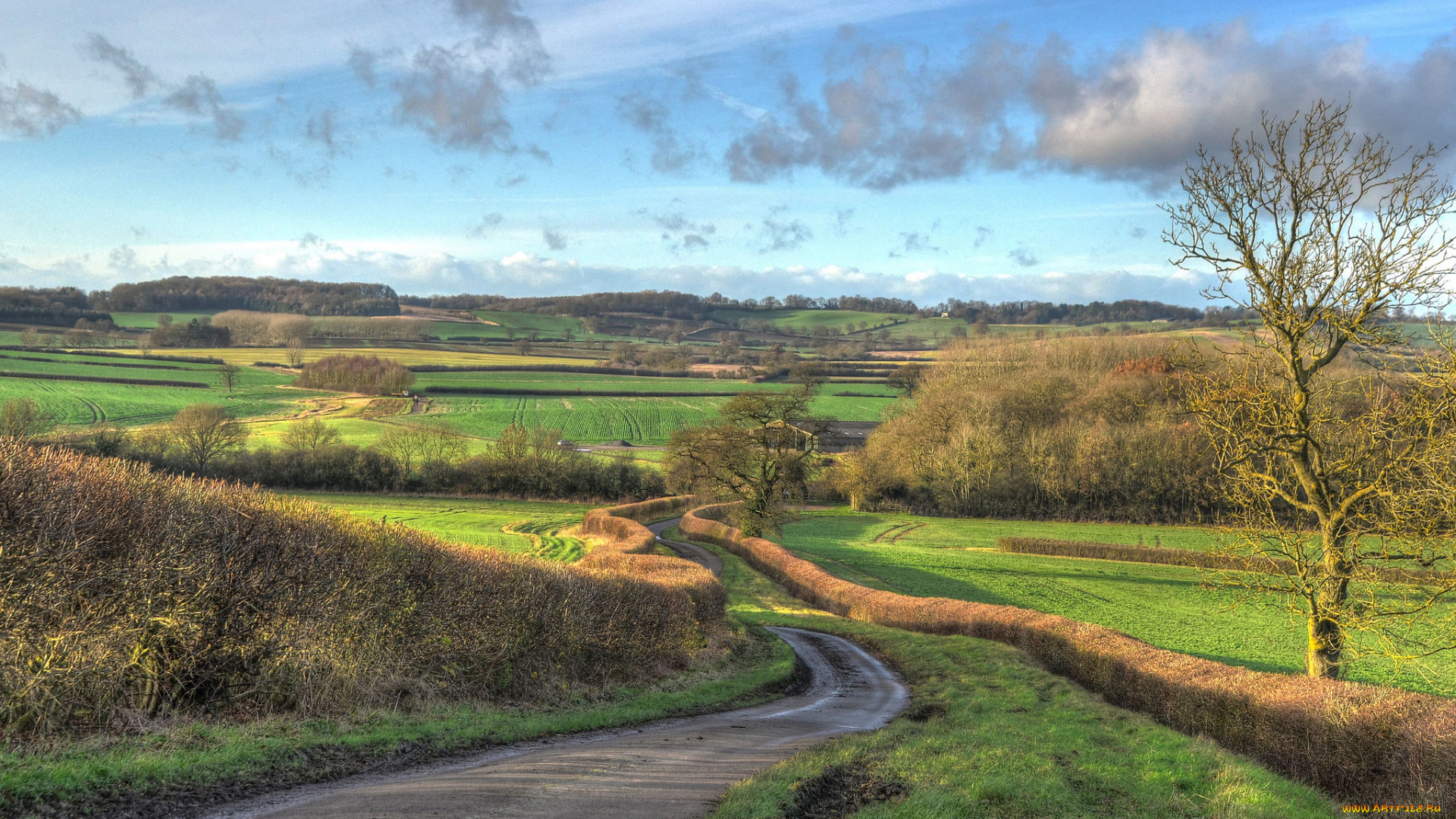 природа, дороги, шоссе