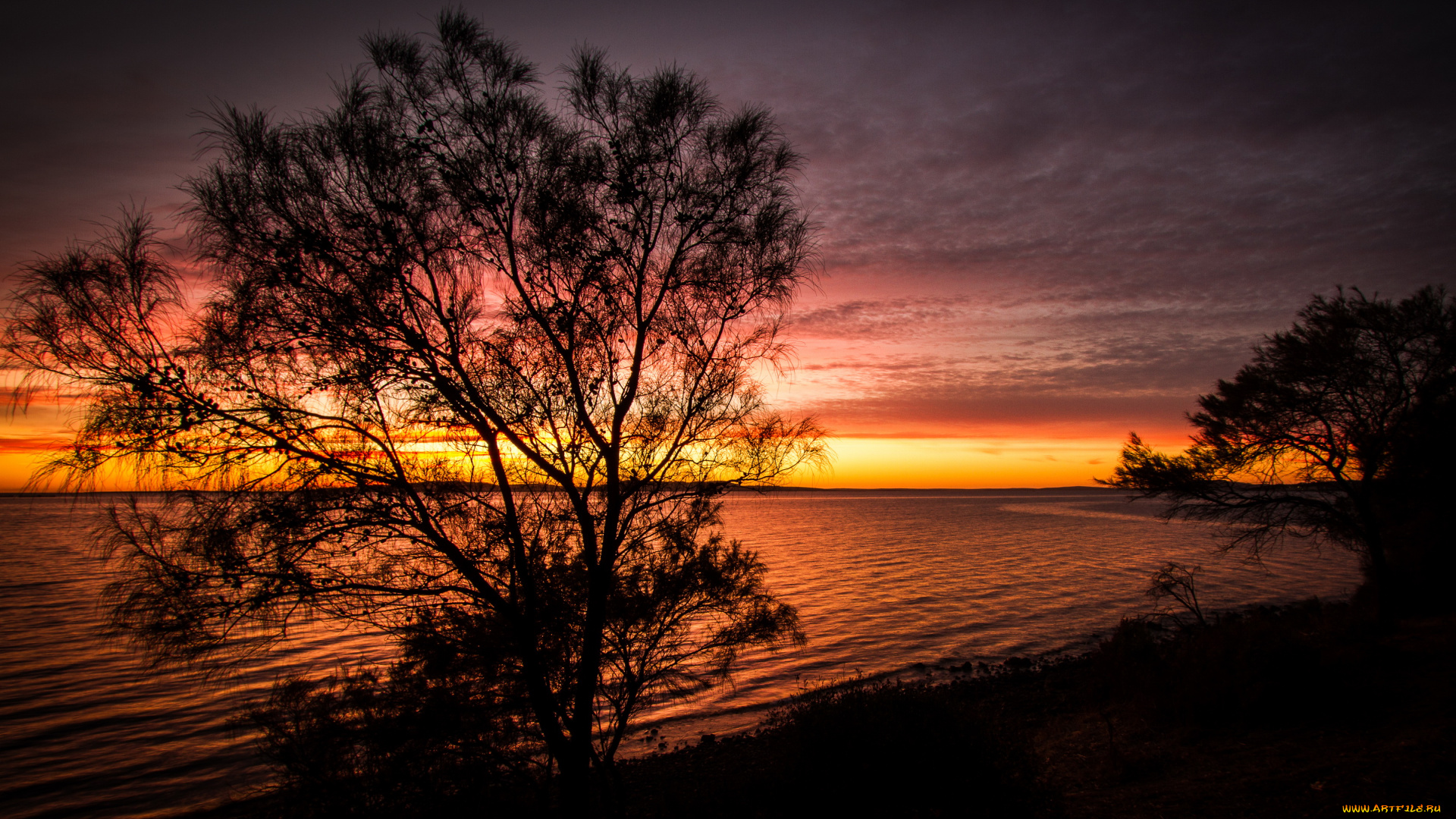 природа, восходы, закаты, озеро, берег, деревья, закат, небо