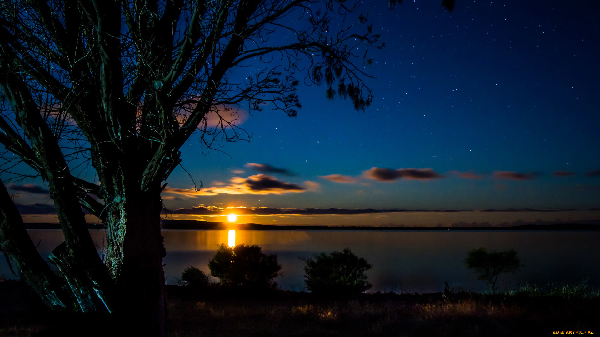 природа, восходы, закаты, закат, солнце, деревья, берег, море, вечер