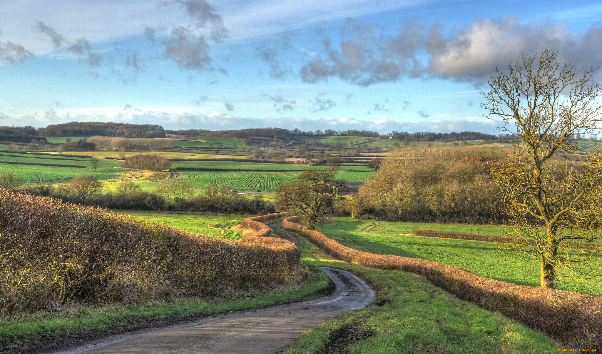 природа, дороги, шоссе