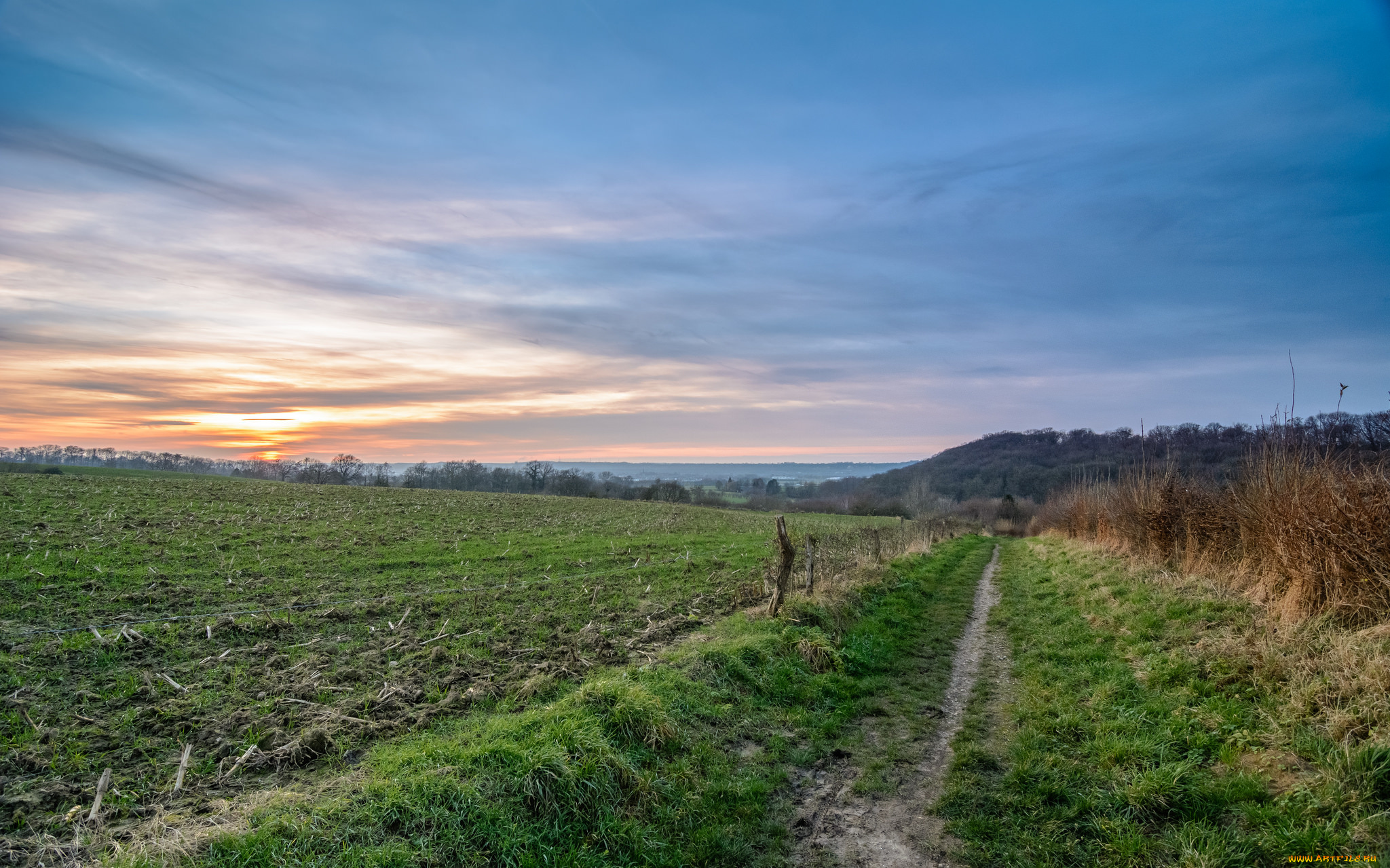 природа, дороги, поле, дорожка