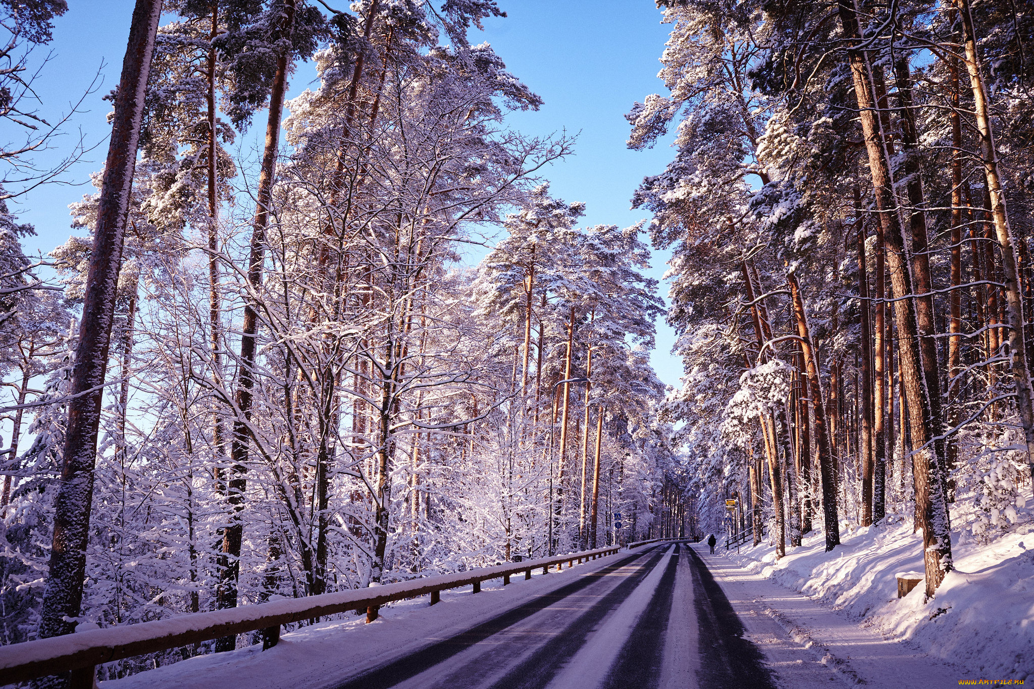 природа, дороги, лес, дорога
