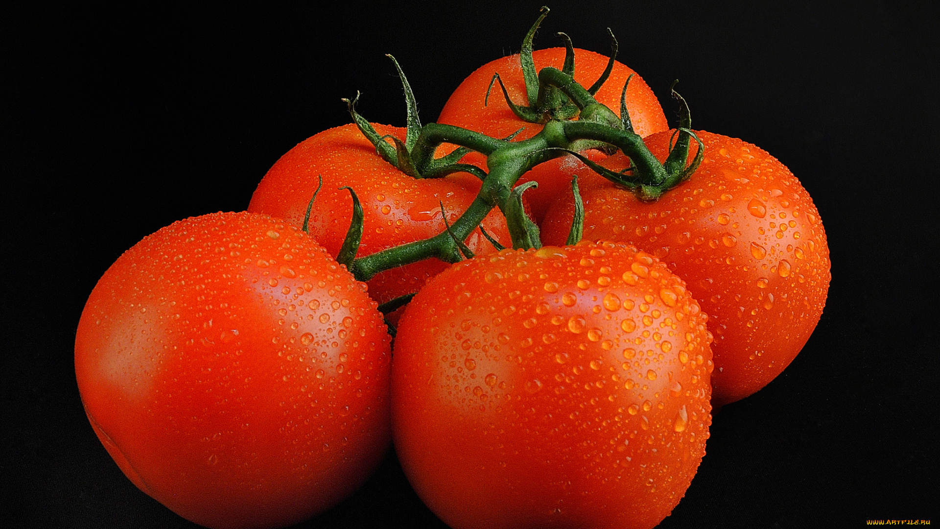 еда, помидоры, томаты