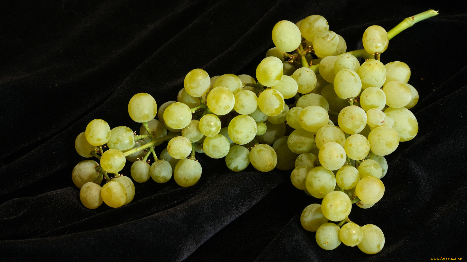 еда, виноград, кисть