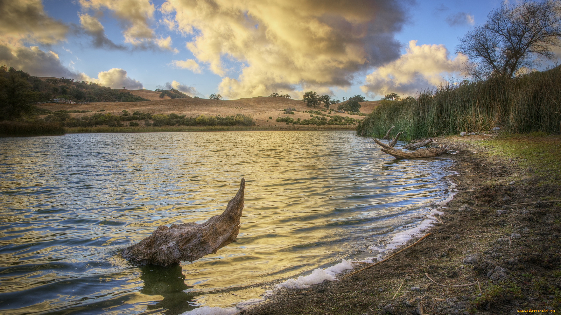 природа, реки, озера, лес, река