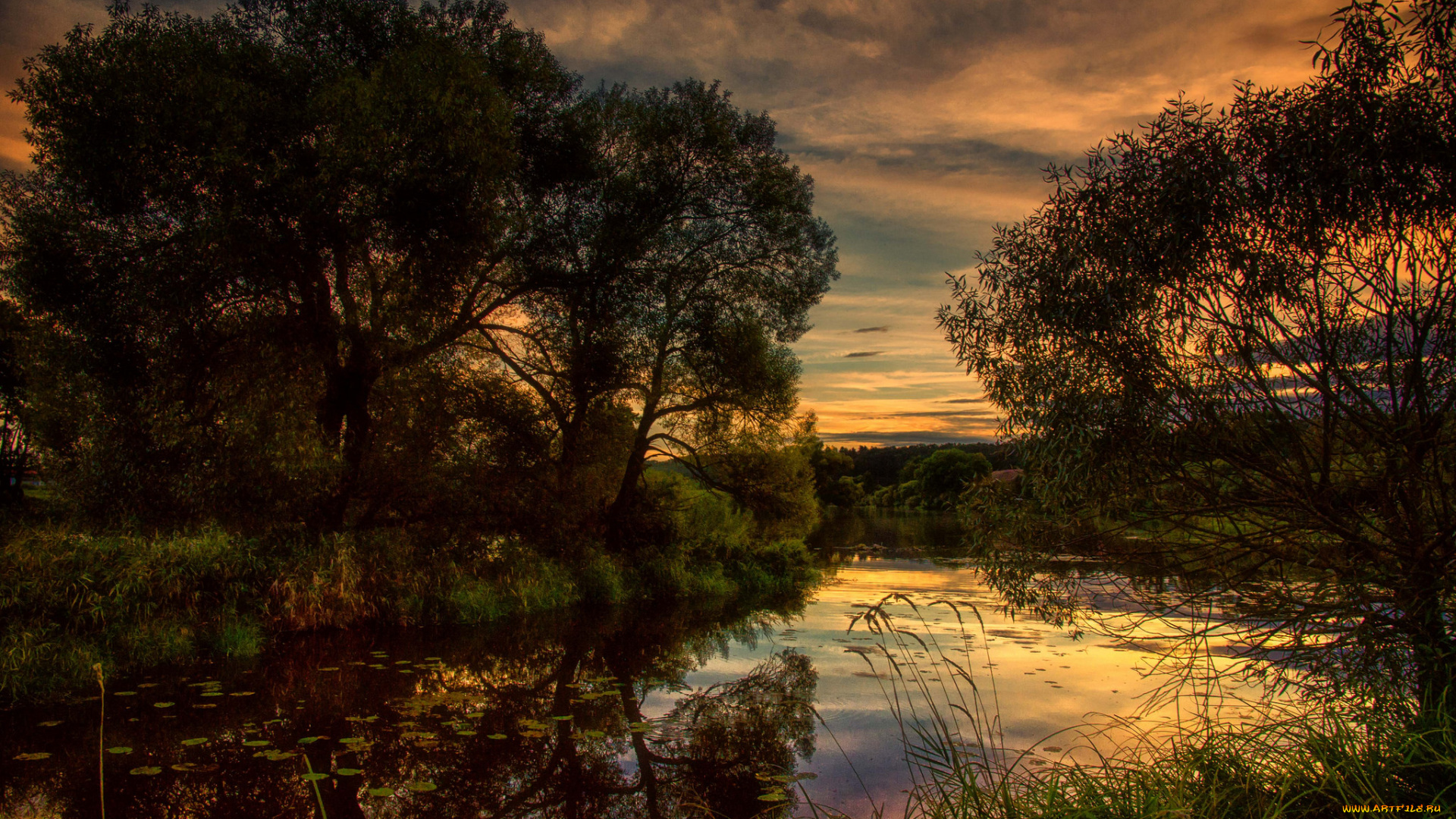 природа, реки, озера, лес, река