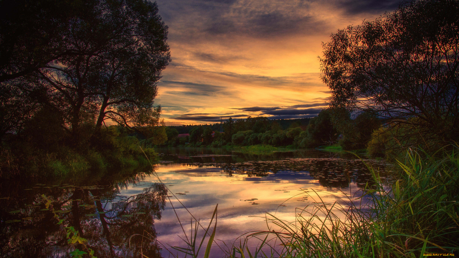 природа, реки, озера, лес, река