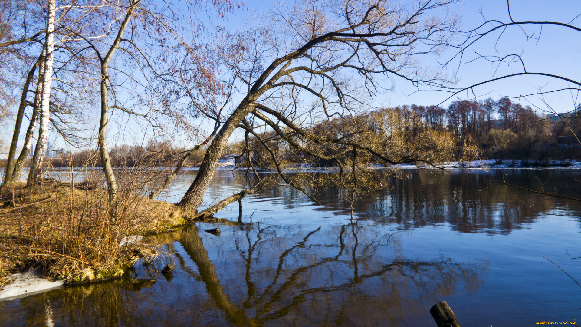 природа, реки, озера, лес, река