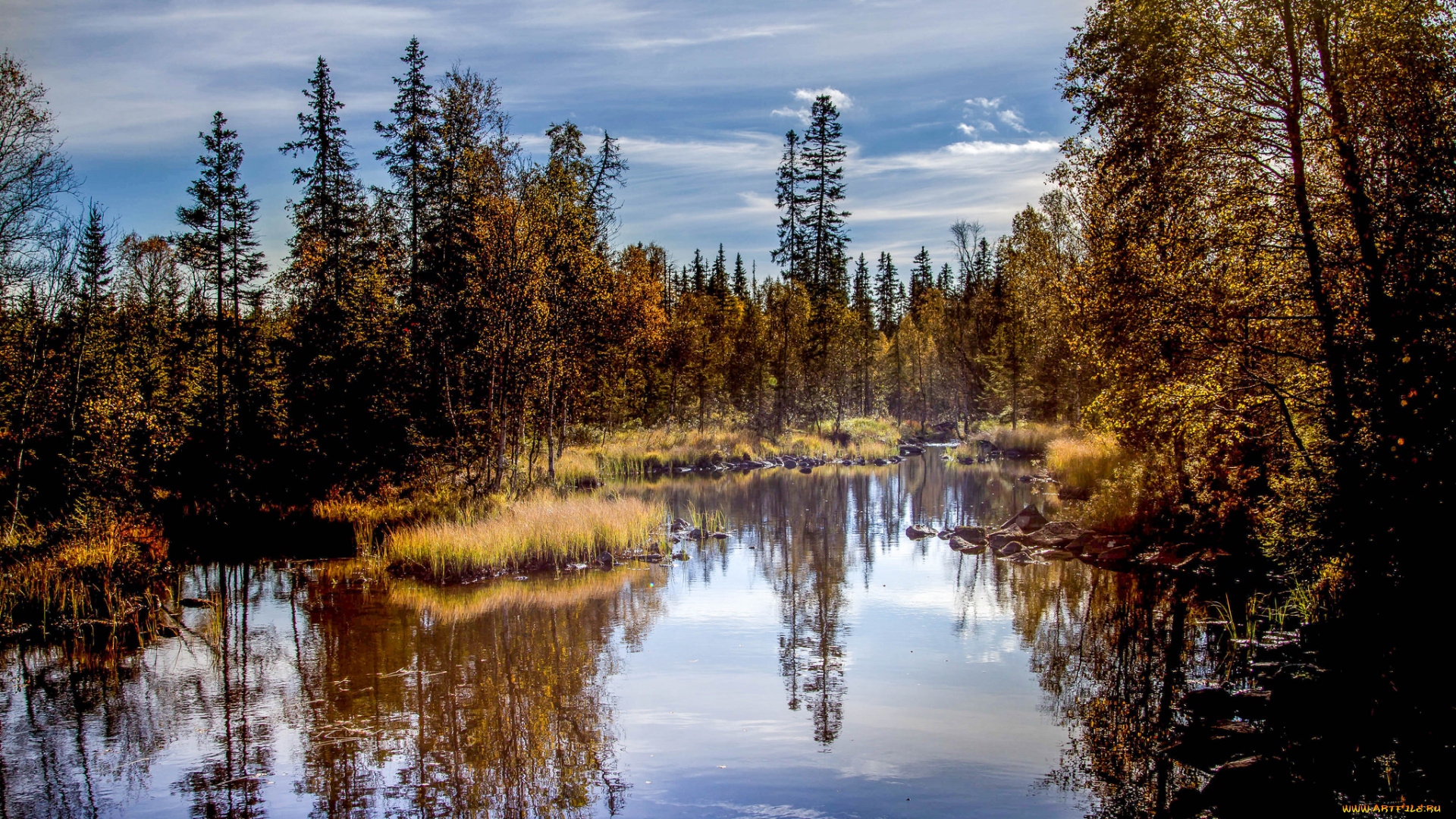 природа, реки, озера, лес, река